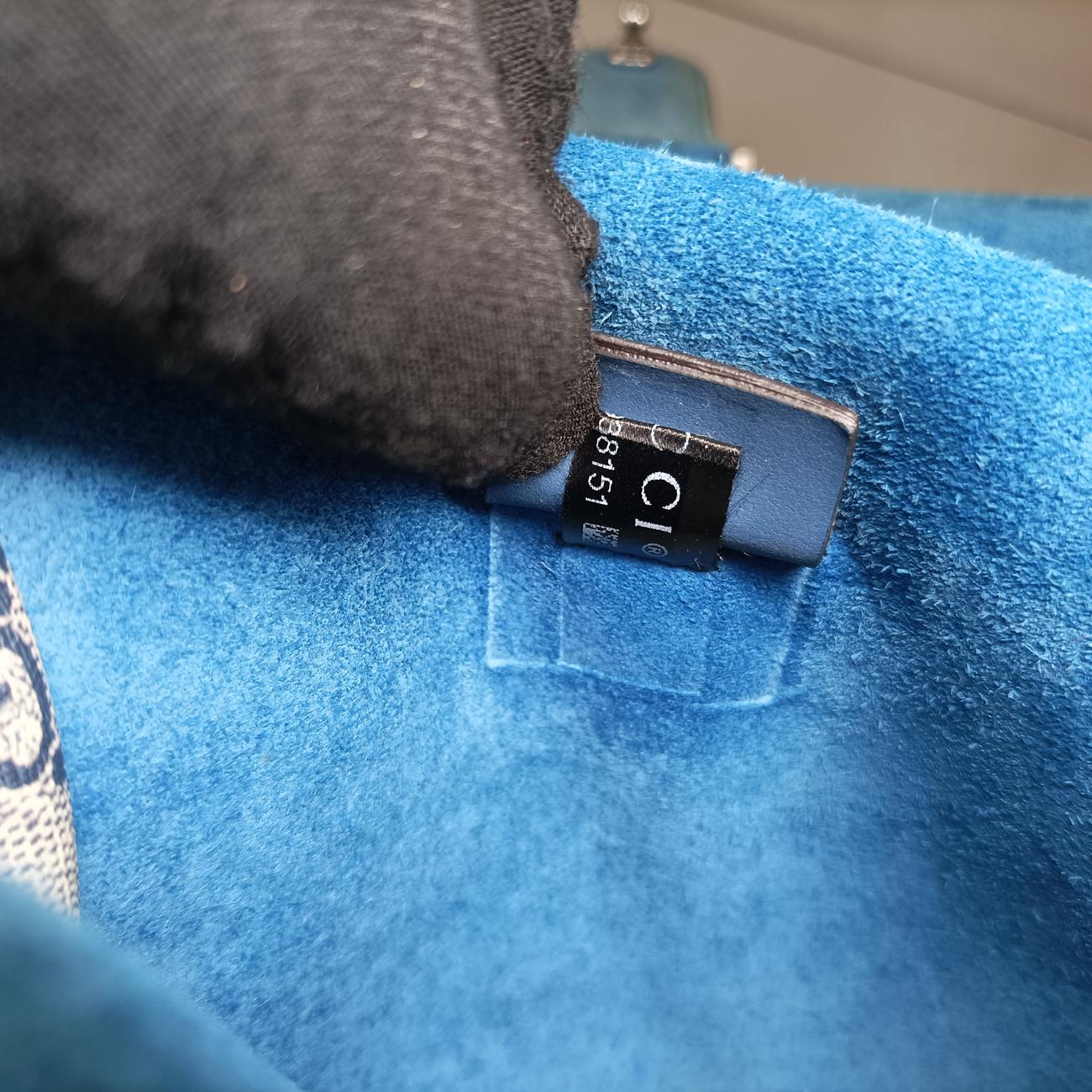 Dionysus Beige×blue×Multicolour PVC coated canvas 421970 G020938151ディオニュソス ベージュ×ブルー×マルチカラー PVCコーティングキャンバス 421970 G020938151