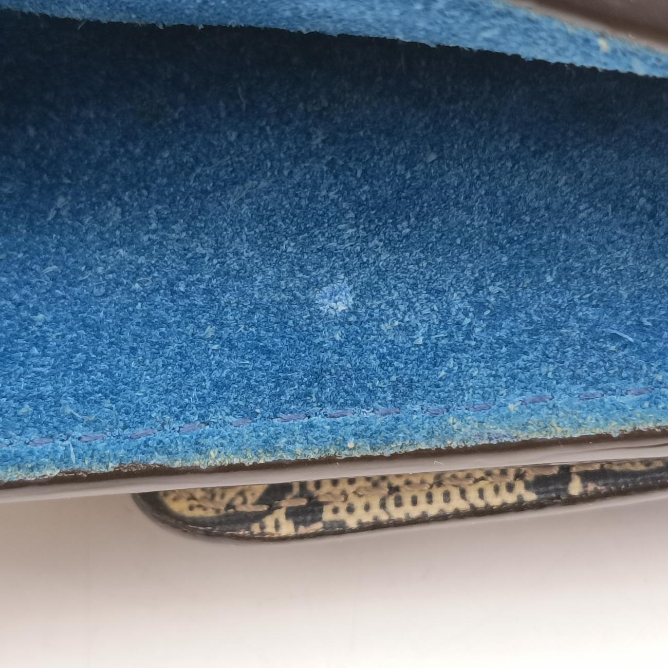 Dionysus Beige×blue×Multicolour PVC coated canvas 421970 G020938151ディオニュソス ベージュ×ブルー×マルチカラー PVCコーティングキャンバス 421970 G020938151