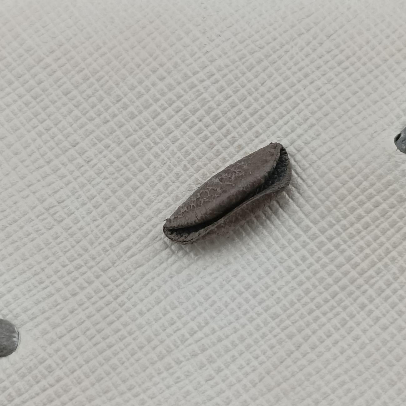 Embroidered Sound Black x White x Gray SAFFIANO Leather 110刺繍 サウンド ブラック×ホワイト×グレー サフィアーノレザー 110