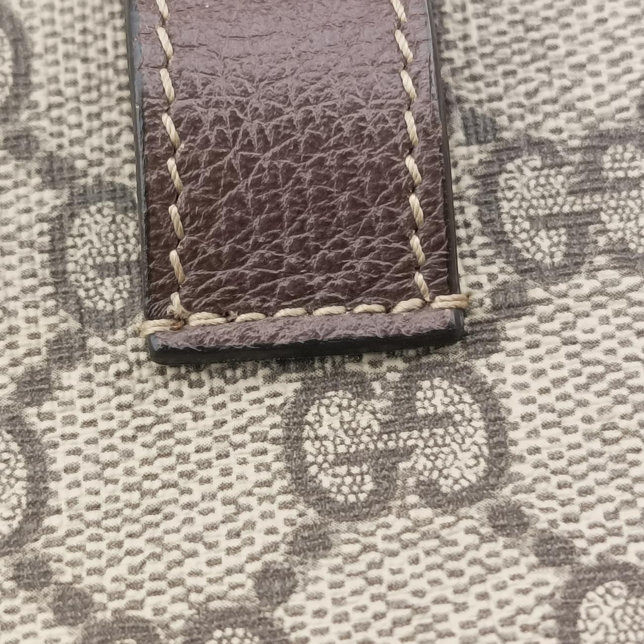 Ophidia brown×red×green PVC coated canvas x leather 517076 F026464730オフィディア ブラウン×レッド×グリーン PVCコーティングキャンバス×レザー 517076 F026464730