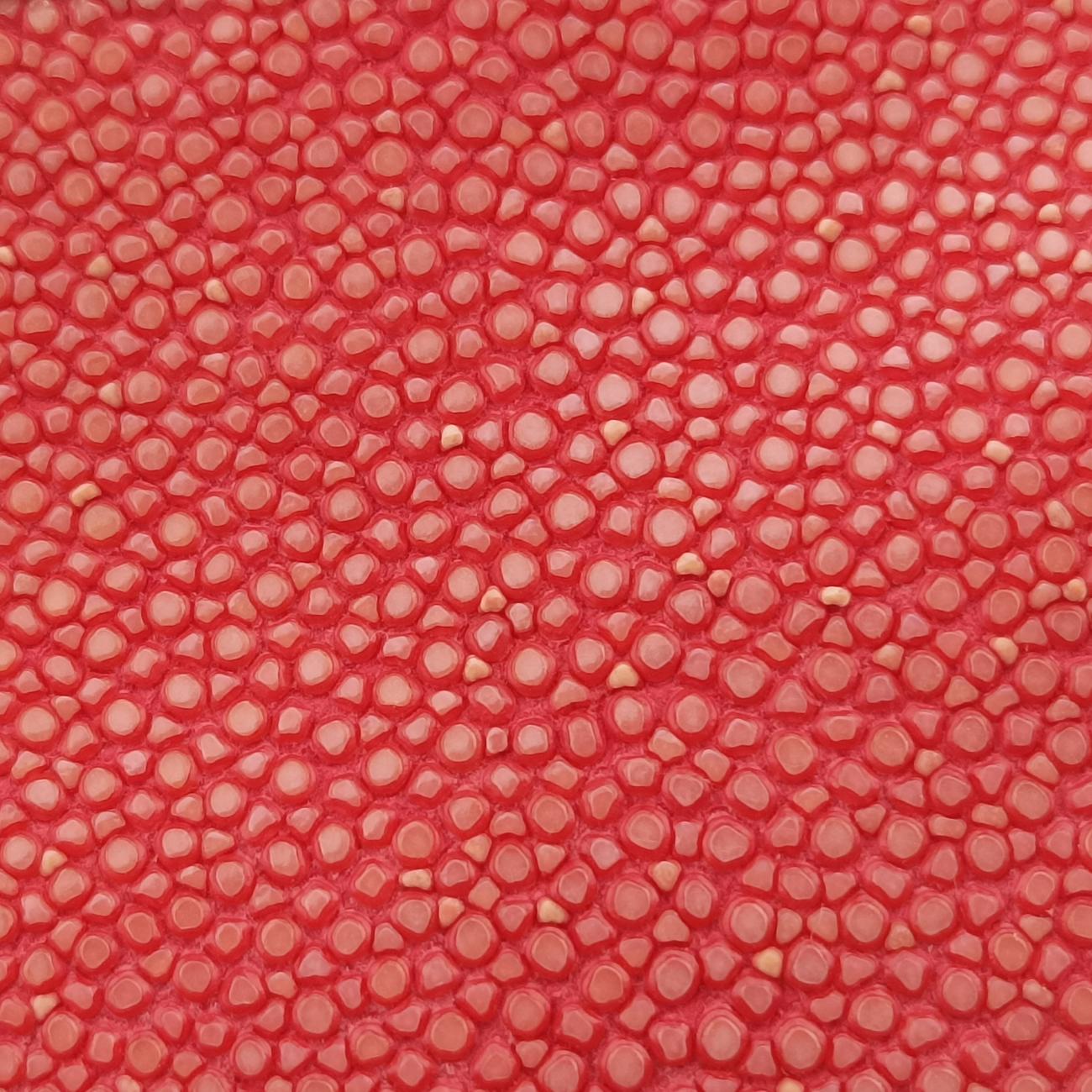 BOY CHANELRedlambskin×GarrushaA6623021026517ボーイシャネルレッドラムスキン×ガルーシャA6623021026517