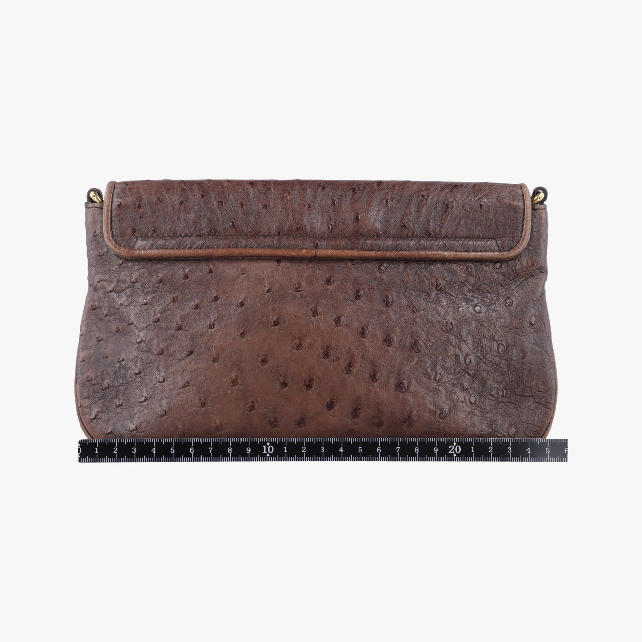 1973 Double G Brown Ostrich Leather 251820 I99565191973 ダブルG ブラウン オーストリッチ 251820 I9956519