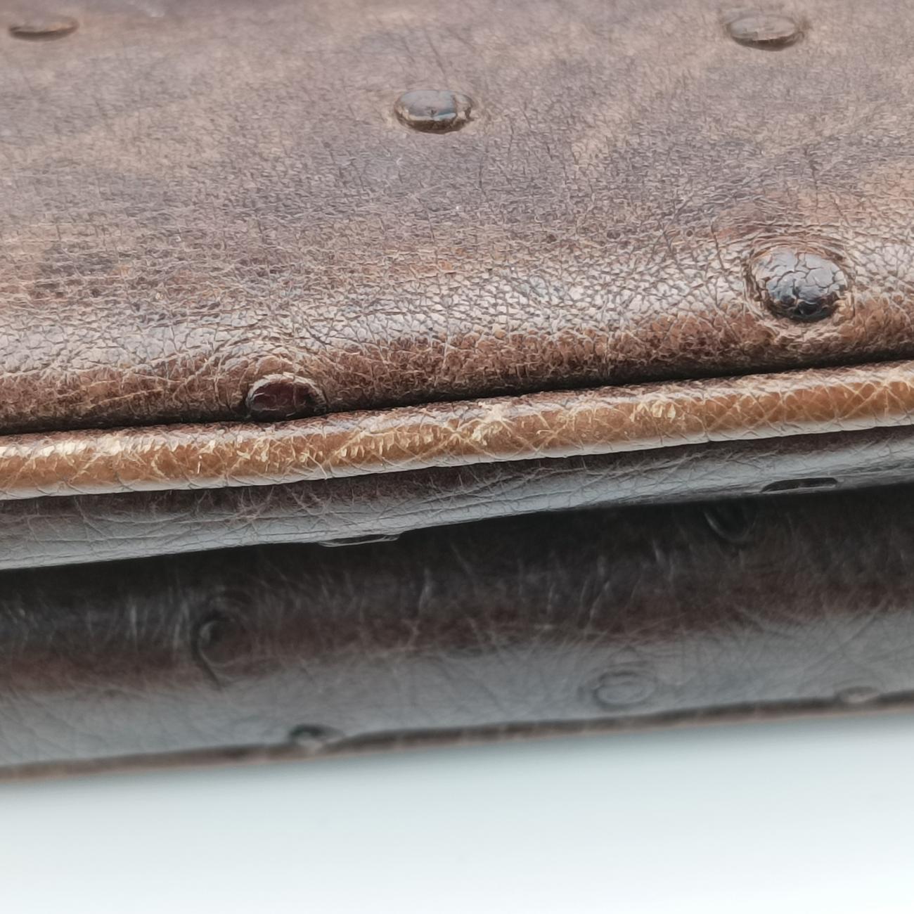 1973 Double G Brown Ostrich Leather 251820 I99565191973 ダブルG ブラウン オーストリッチ 251820 I9956519