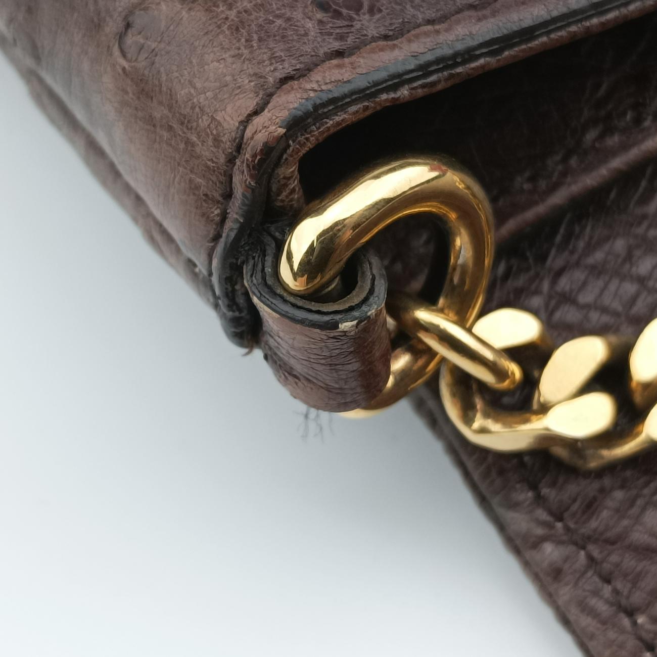 1973 Double G Brown Ostrich Leather 251820 I99565191973 ダブルG ブラウン オーストリッチ 251820 I9956519