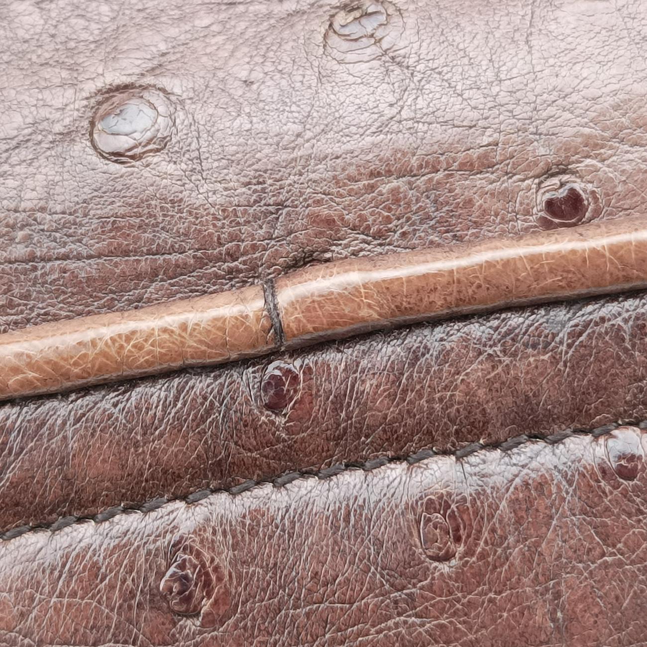 1973 Double G Brown Ostrich Leather 251820 I99565191973 ダブルG ブラウン オーストリッチ 251820 I9956519