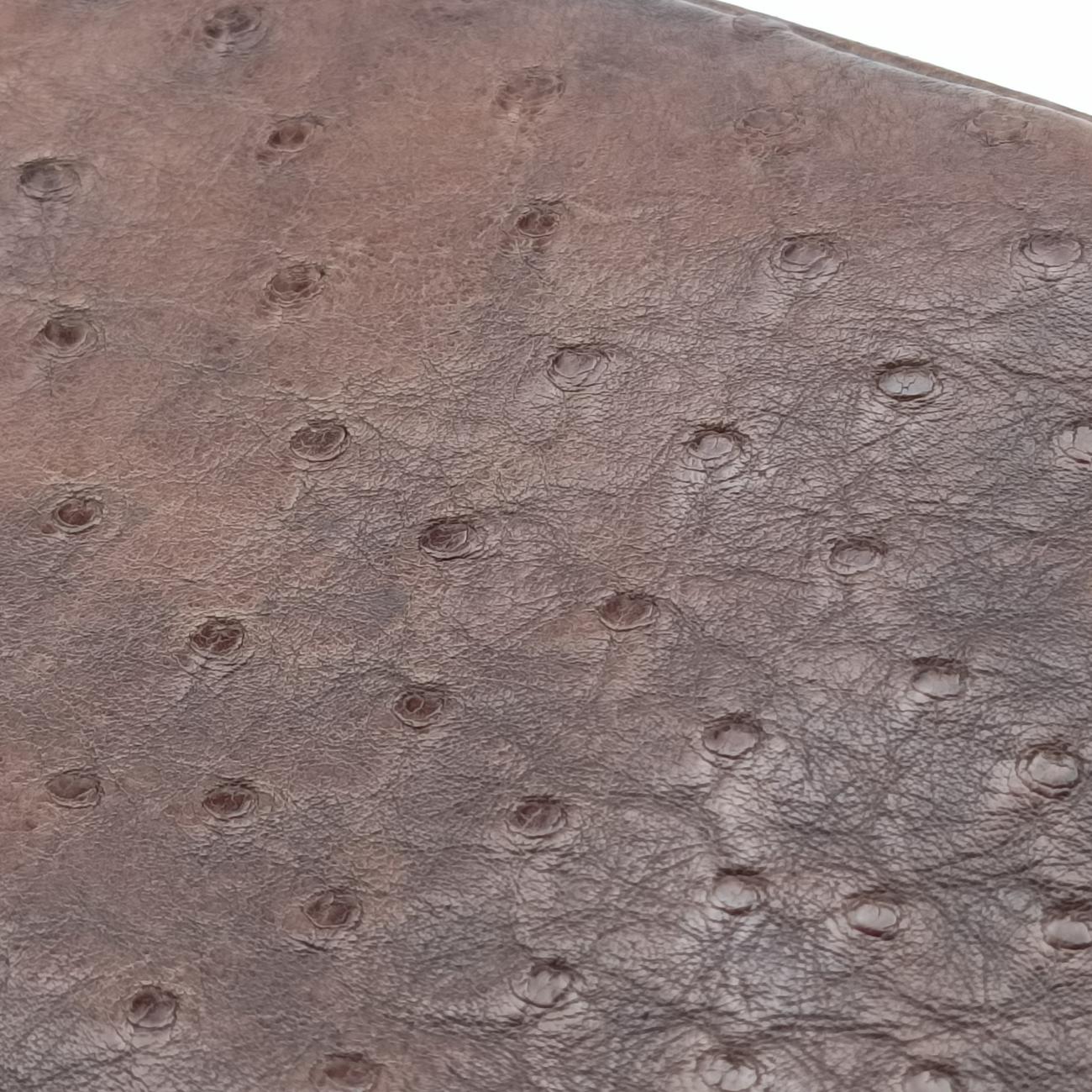 1973 Double G Brown Ostrich Leather 251820 I99565191973 ダブルG ブラウン オーストリッチ 251820 I9956519