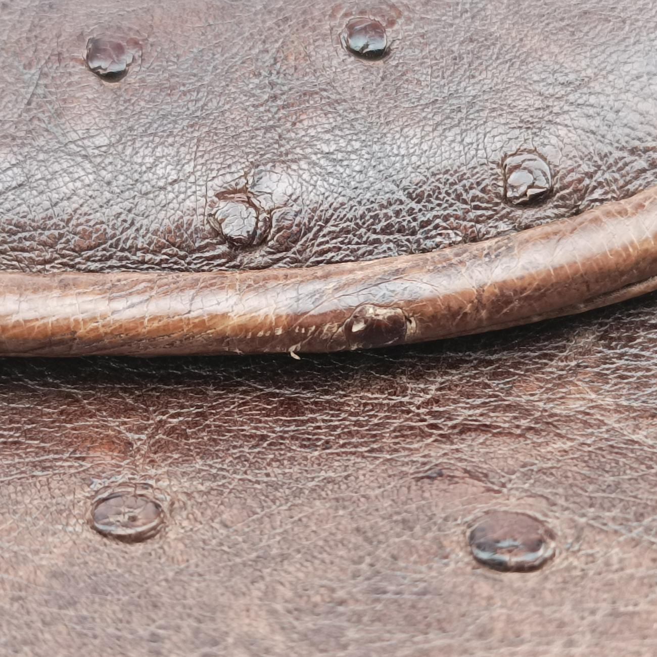 1973 Double G Brown Ostrich Leather 251820 I99565191973 ダブルG ブラウン オーストリッチ 251820 I9956519