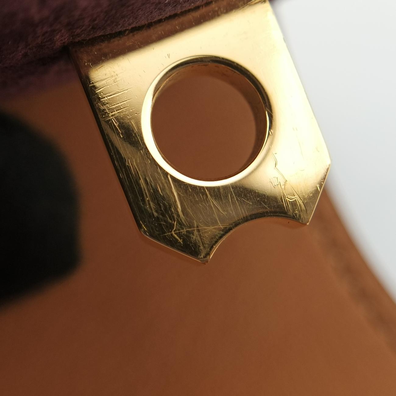 Collier de Chienpurple brown×goldenLeather× GPS ▢P Rコリエ ド シアンパープル ブラウン×ゴールドレザー × GPS ▢P R