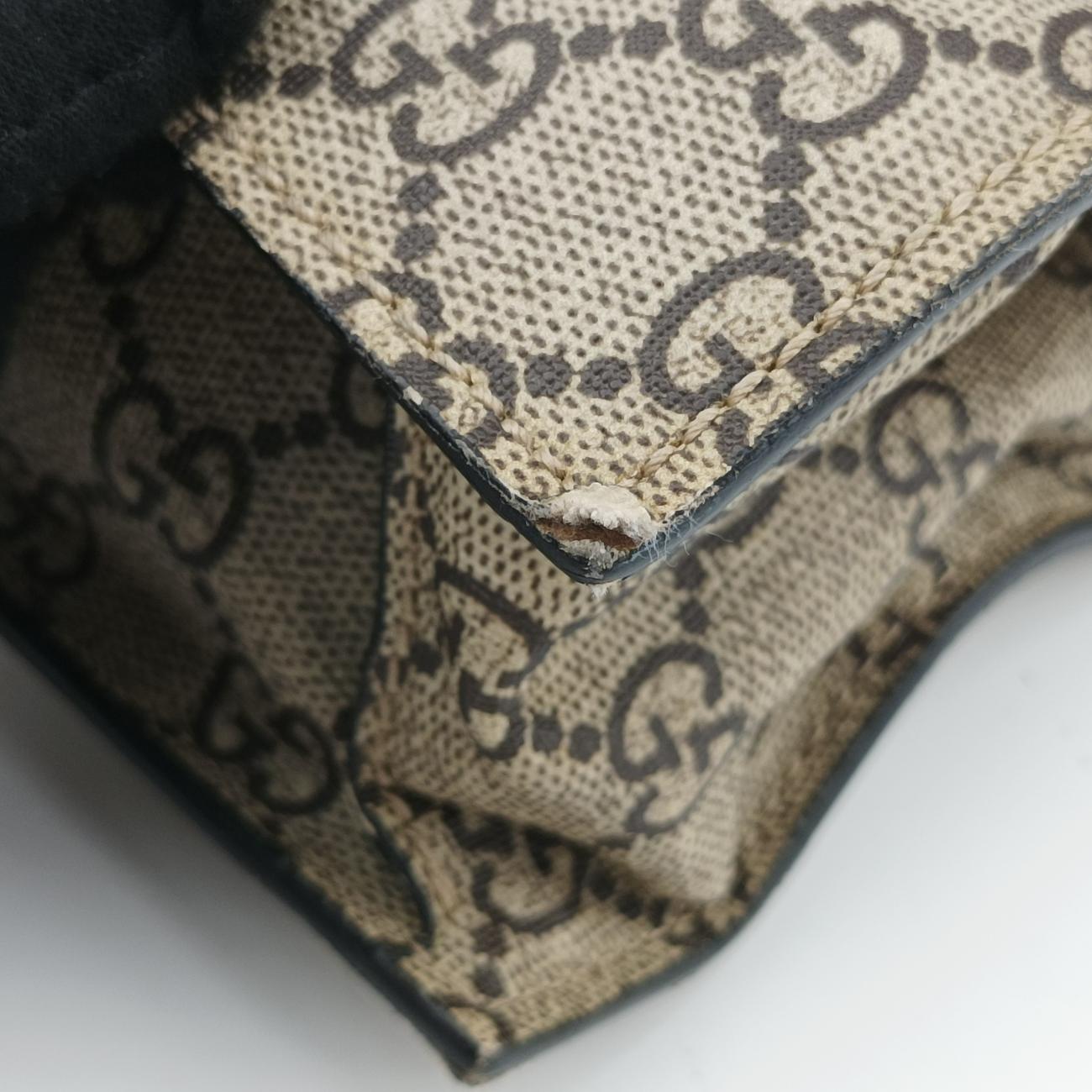 GG Supreme Bee Brown×Multicolour PVC coated canvas 450950 C020713159GGスプリーム ビー ブラウン×マルチカラー PVCコーティングキャンバス 450950 C020713159