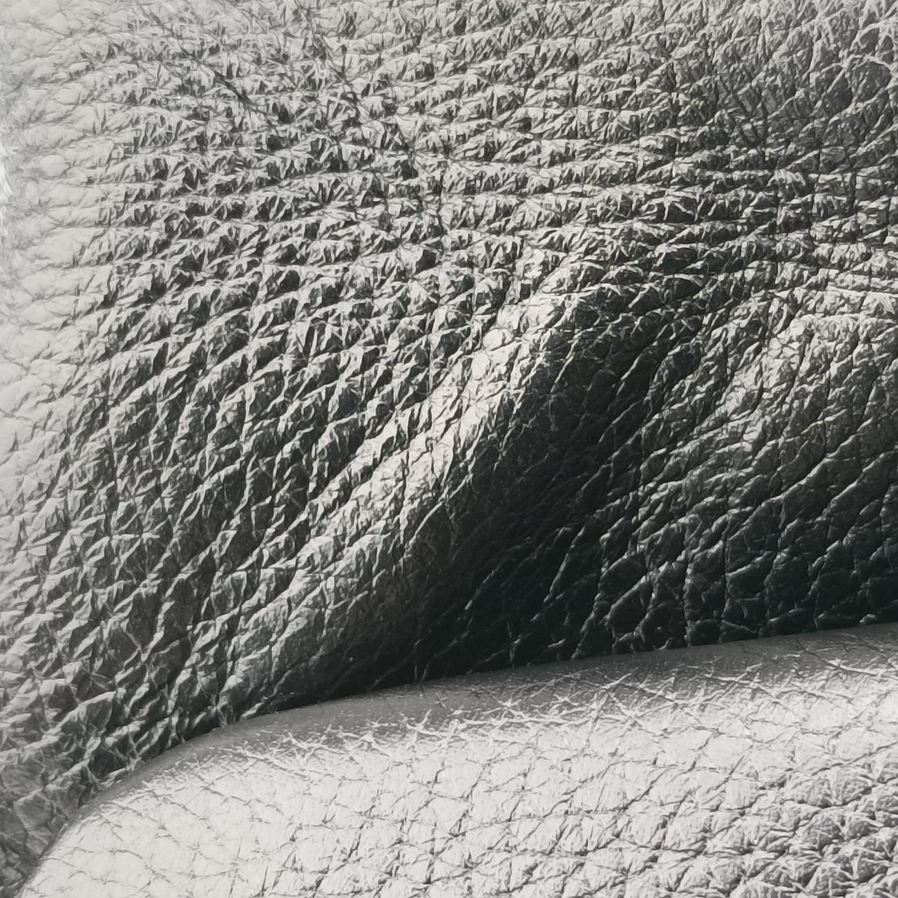 SICILY Black Leather シシリー ブラック レザー