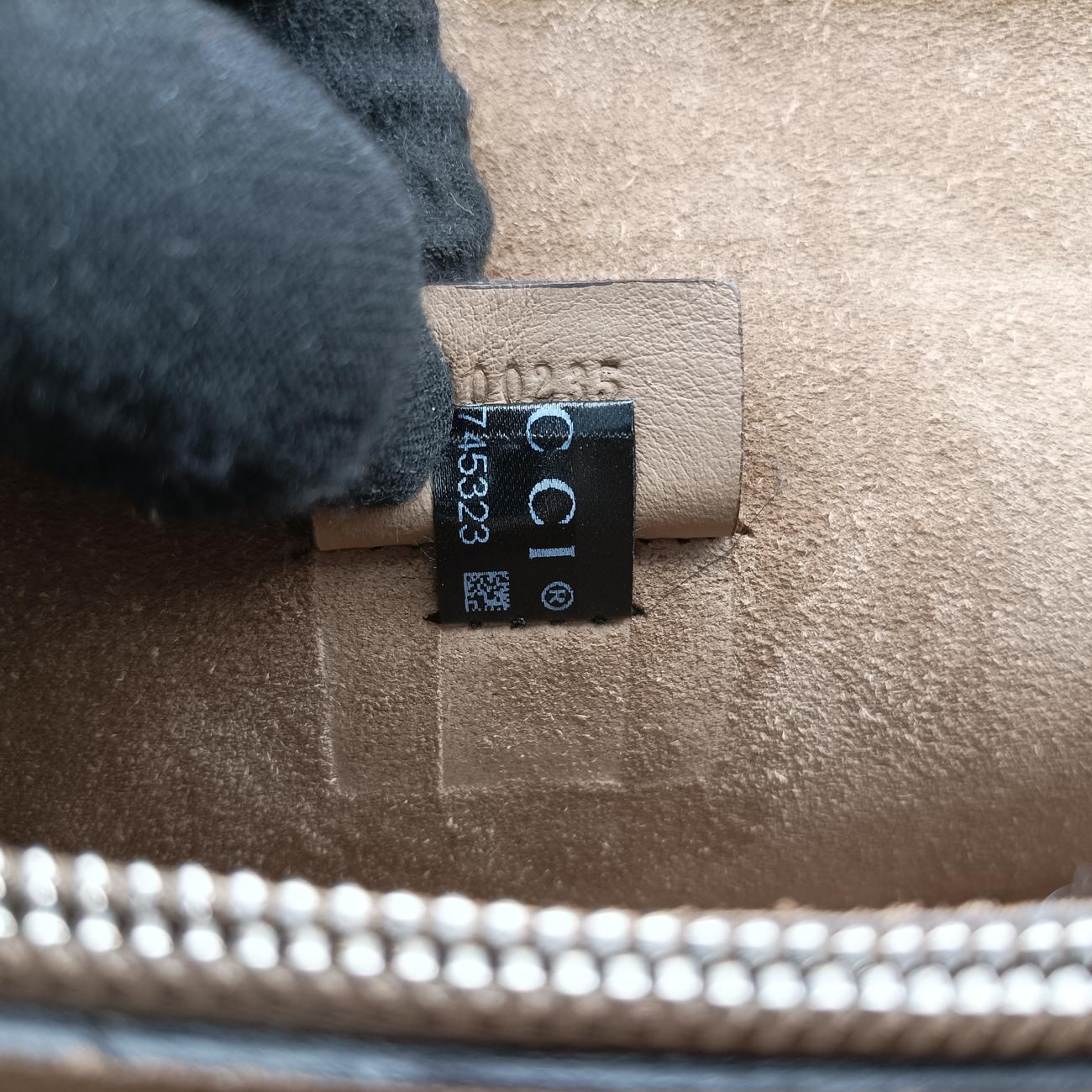 Dionysus beige×Multicolour PVC coated canvas 400235 H019745323ディオニュソス ベージュ×マルチカラー PVCコーティングキャンバス 400235 H019745323