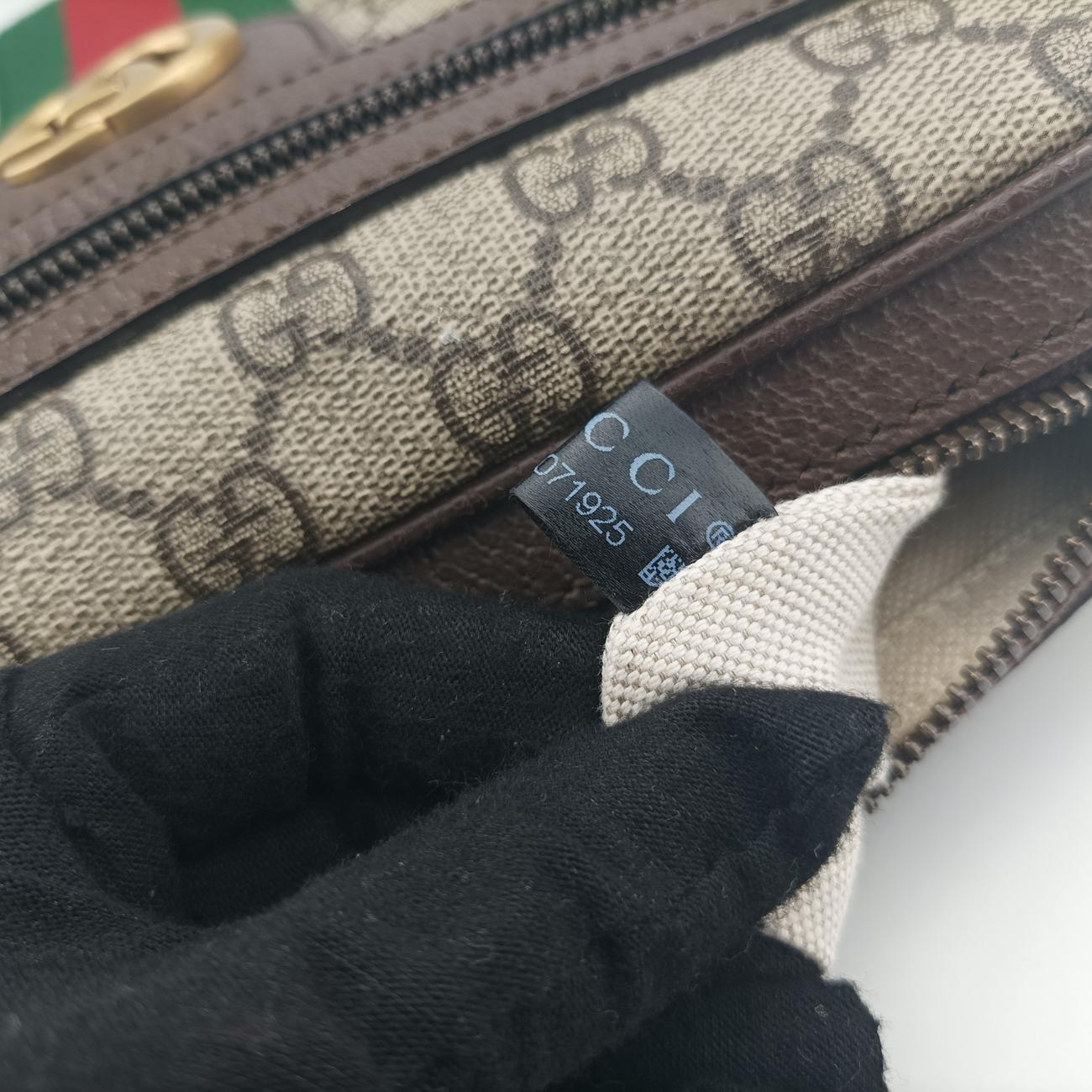 Ophidia Brown×green×red PVC coated canvas 547926 A038071925オフィディア ブラウン×グリーン×レッド PVCコーティングキャンバス 547926 A038071925