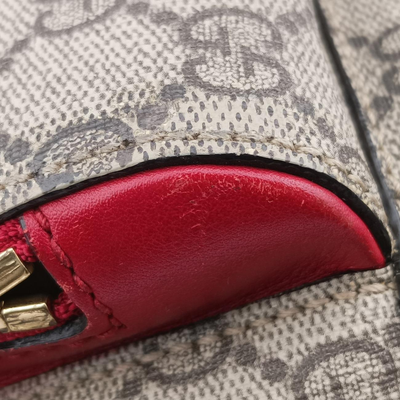 GG Supreme Tian Beige×Multicolour PVC coated canvas 427042 C020487180GGスプリームティアン ベージュ×マルチカラー PVCコーティングキャンバス 427042 C020487180