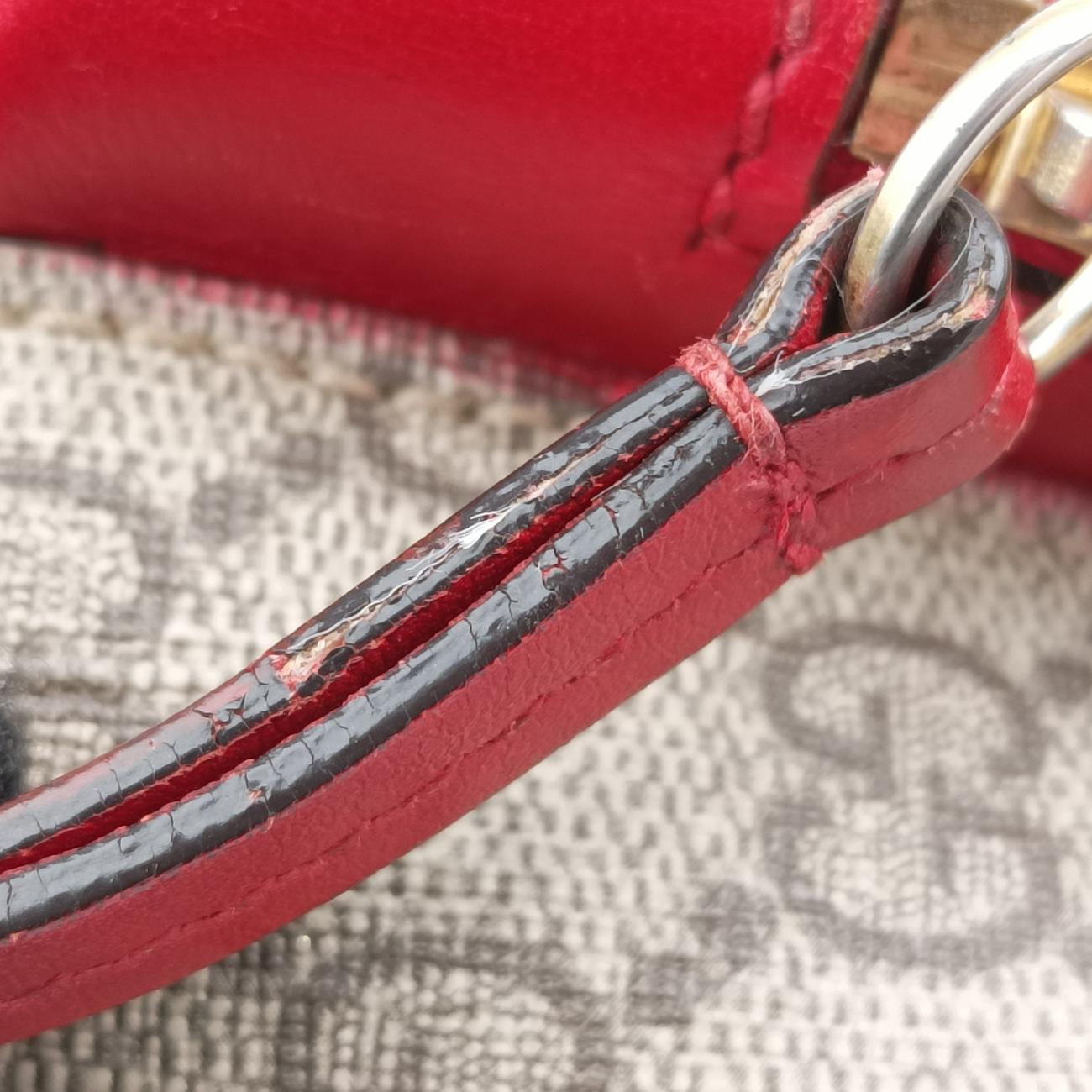 GG Supreme Tian Beige×Multicolour PVC coated canvas 427042 C020487180GGスプリームティアン ベージュ×マルチカラー PVCコーティングキャンバス 427042 C020487180