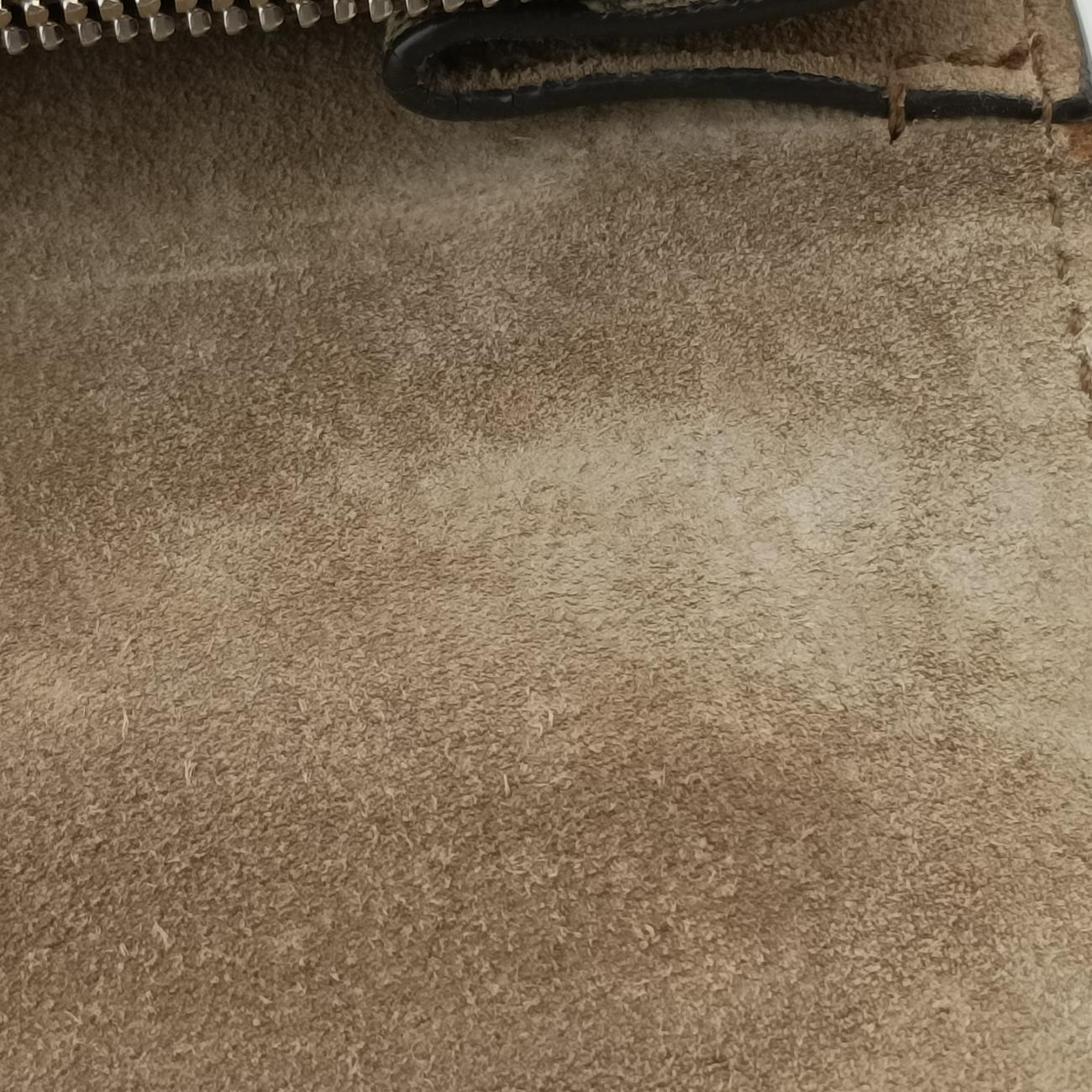 Dionysus beige×Multicolour PVC coated canvas 400235 I019755134ディオニュソス ベージュ×マルチカラー PVCコーティングキャンバス 400235 I019755134