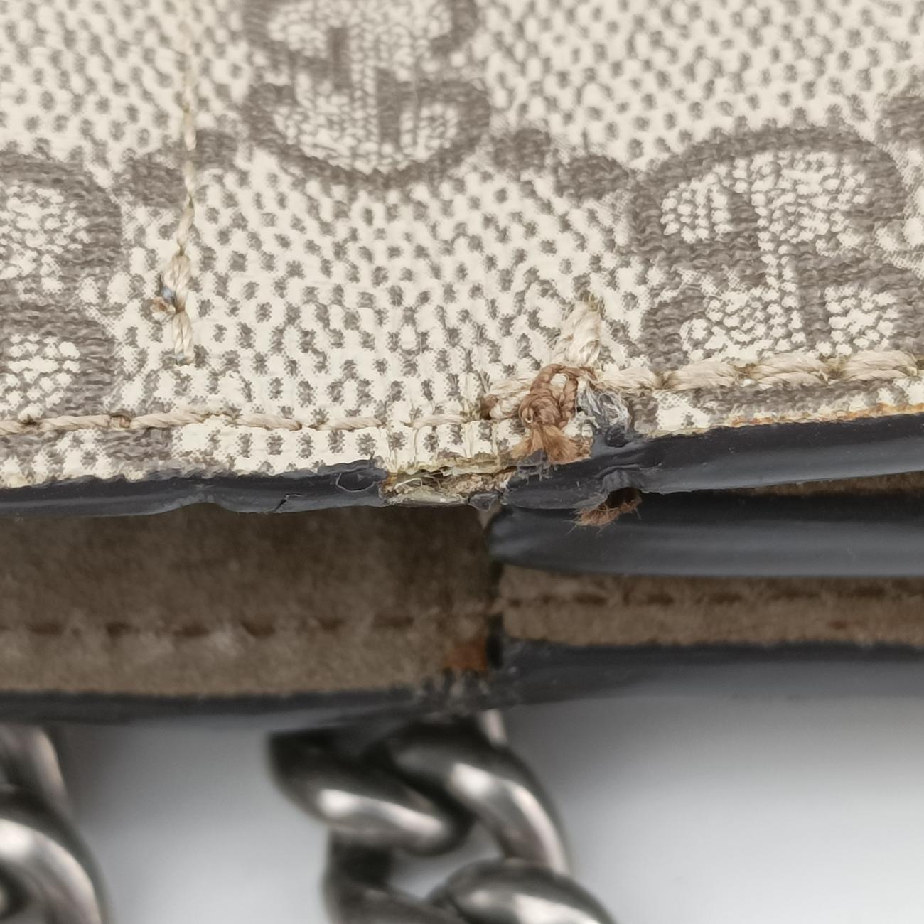 Dionysus beige×Multicolour PVC coated canvas 400235 I019755134ディオニュソス ベージュ×マルチカラー PVCコーティングキャンバス 400235 I019755134