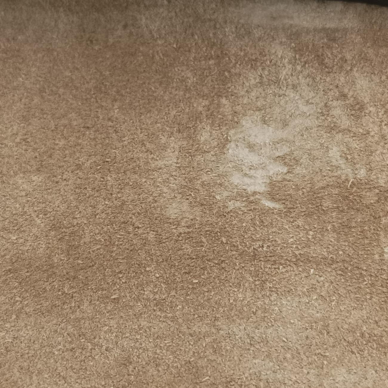 Dionysus beige×Multicolour PVC coated canvas 400235 A022494469ディオニュソス ベージュ×マルチカラー PVCコーティングキャンバス 400235 A022494469