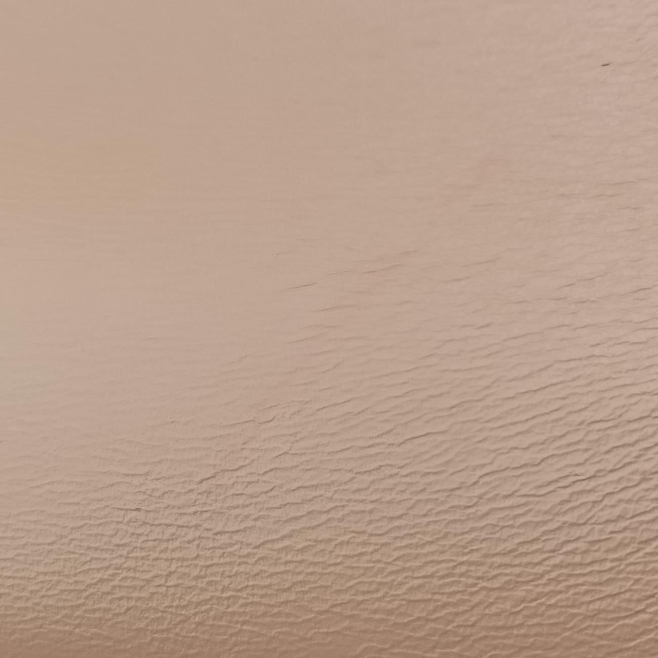 Emily Beige×Brown canvas x leather 295403 A012864626エミリー ベージュ×ブラウン キャンバス×レザー 295403 A012864626