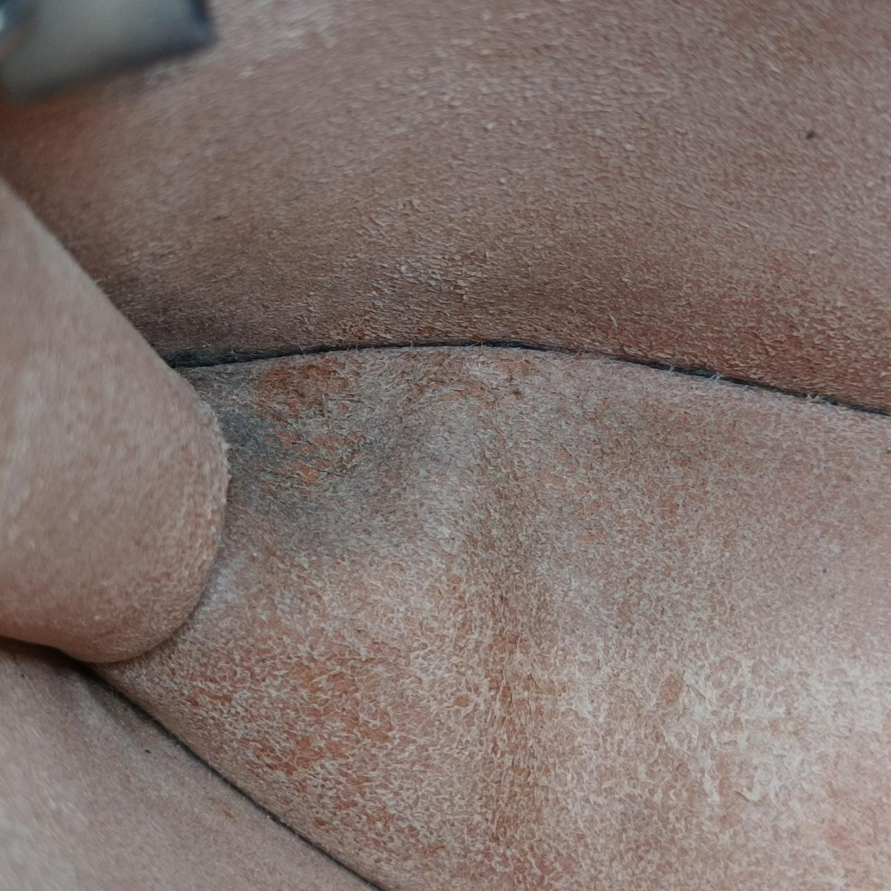 Dionysus Brown PVC coated canvas 476432 ディオニュソス ブラウン PVCコーティングキャンバス 476432