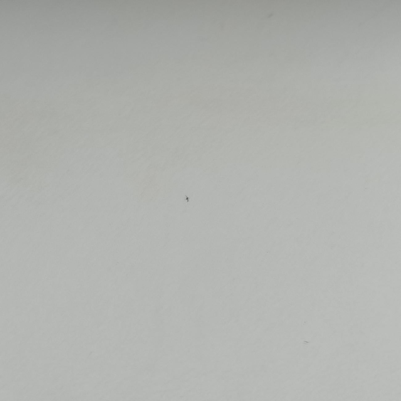 Cahier tassen Leder Multicolour Leather×Denim 1BD045 25カイエ タッセン レダー マルチカラー レザー×デニム 1BD045 25