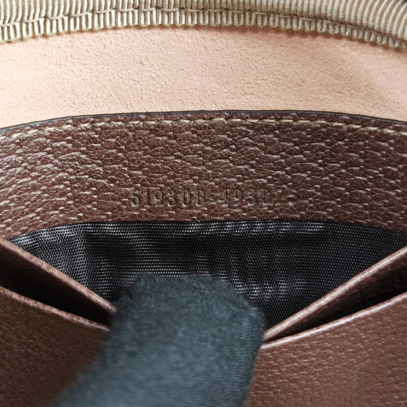 Ophidia Brown×green×red PVC coated canvas x leather 519308 オフィディア ブラウン×グリーン×レッド PVCコーティングキャンバス×レザー 519308