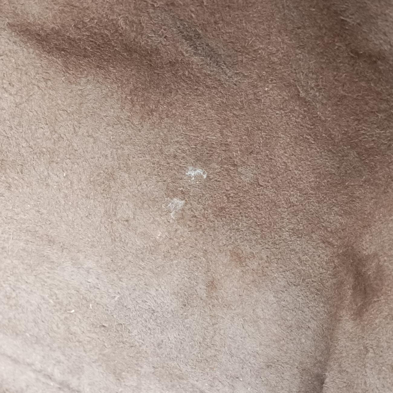 Roma Intrecciato Grey lambskin B07264524Kローマ イントレチャート グレー ラムスキン B07264524K