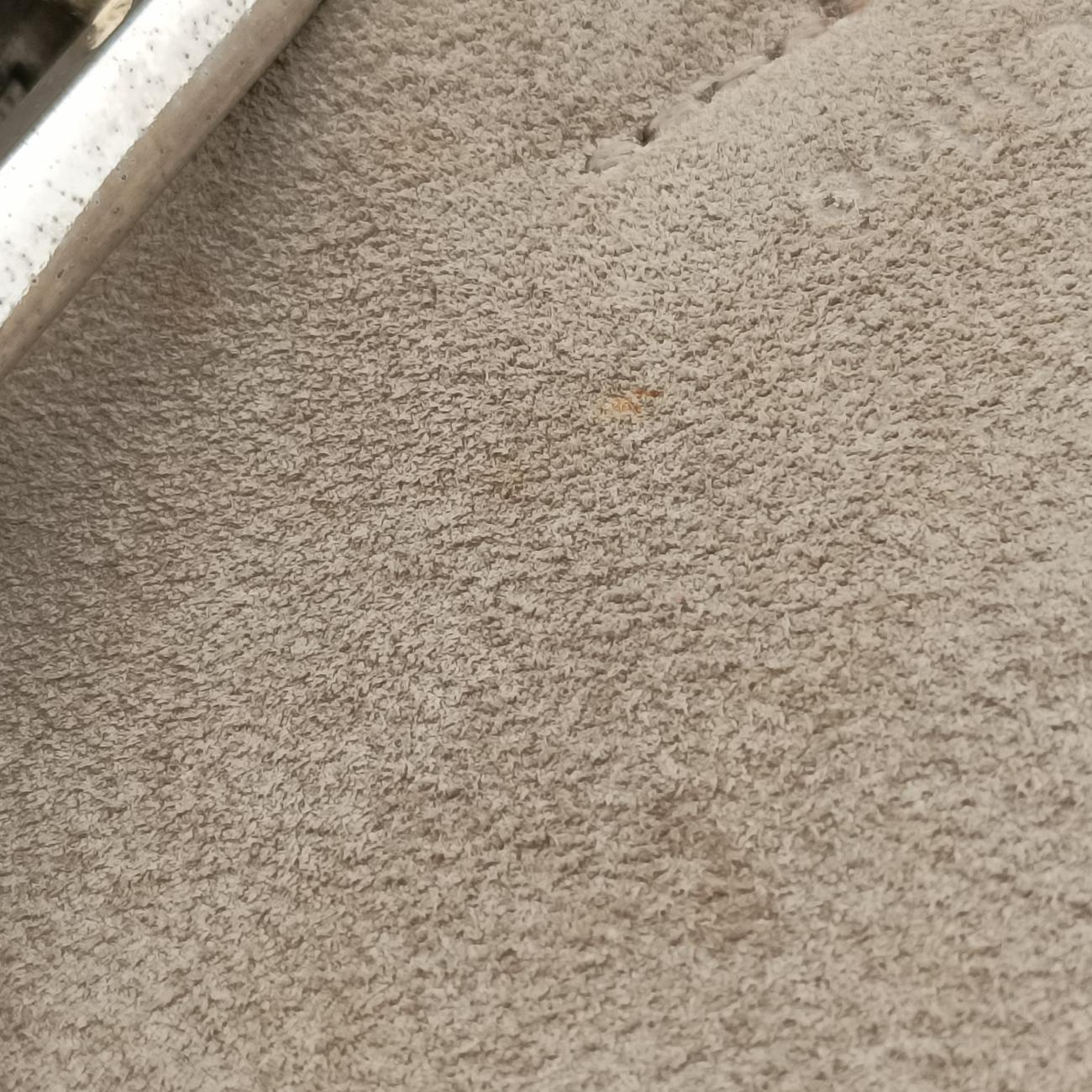 FAYE mini Grey Suede × leather 01 18 75 65フェイ ミニ グレー スエード×レザー 01 18 75 65