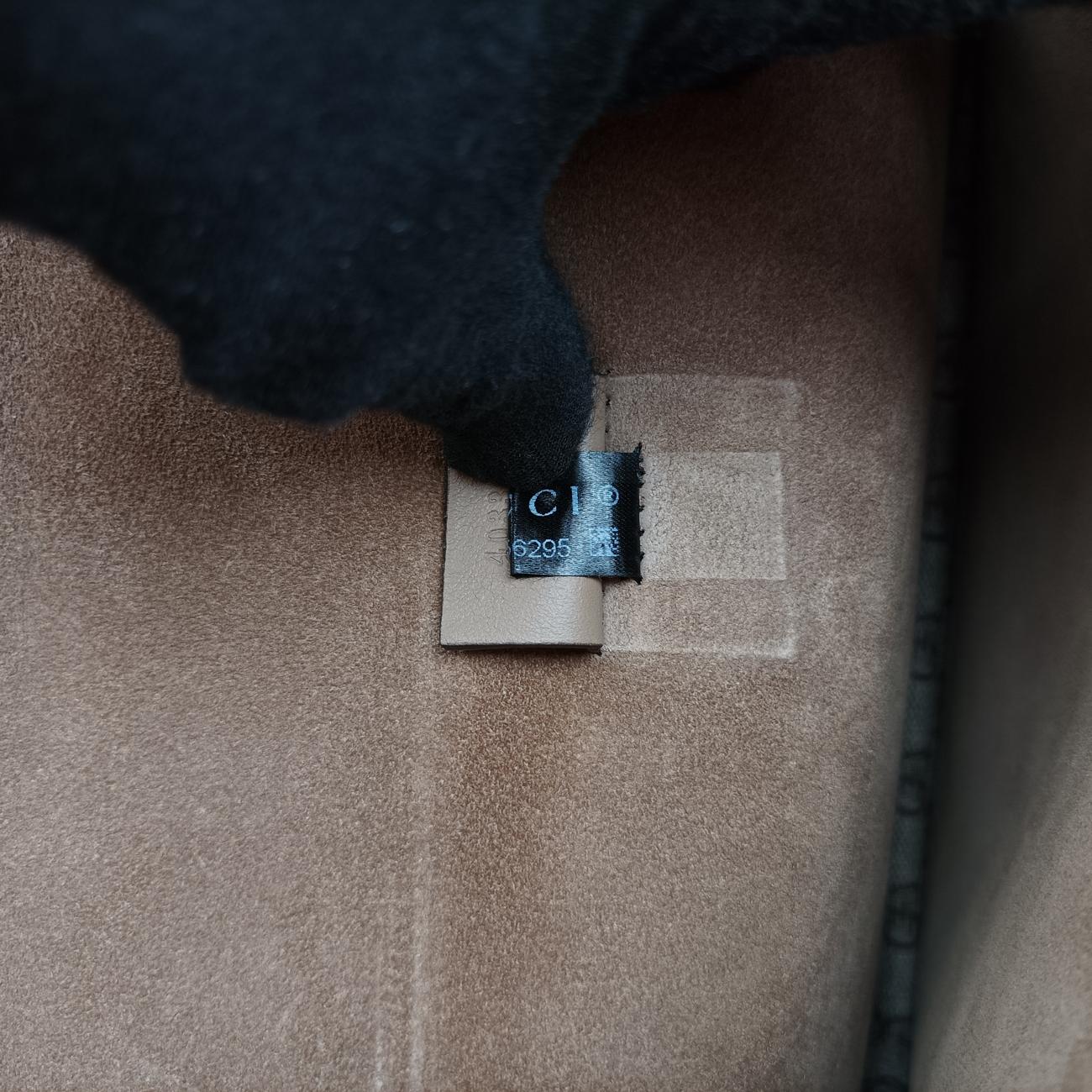 Dionysus Beige×Multicolour PVC coated canvas 403348 G019356295ディオニュソス ベージュ×マルチカラー PVCコーティングキャンバス 403348 G019356295