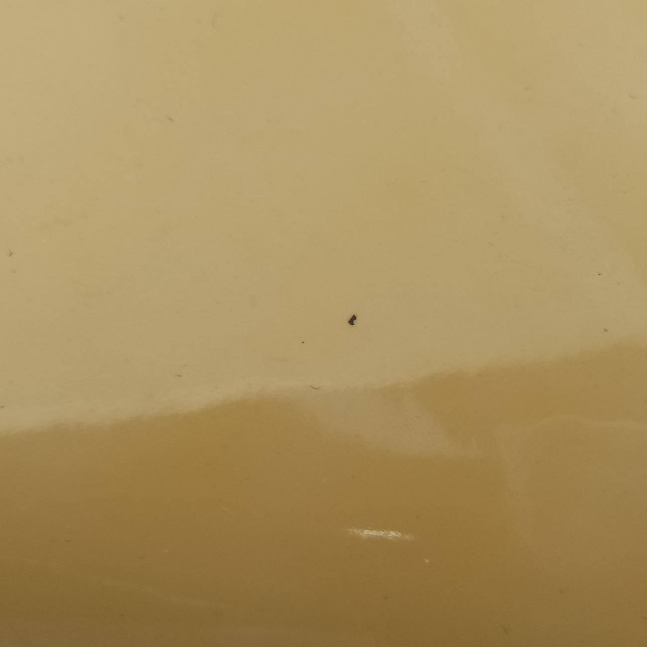 Madame Yellow Patent マダム イエロー パテント