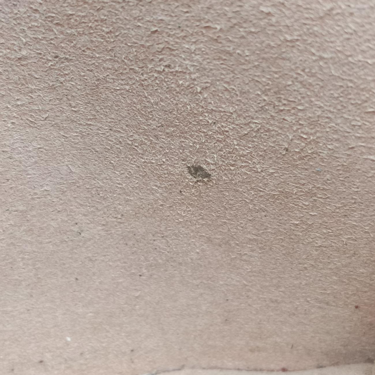 Dionysus Red Leather 476432 ディオニュソス レッド レザー 476432