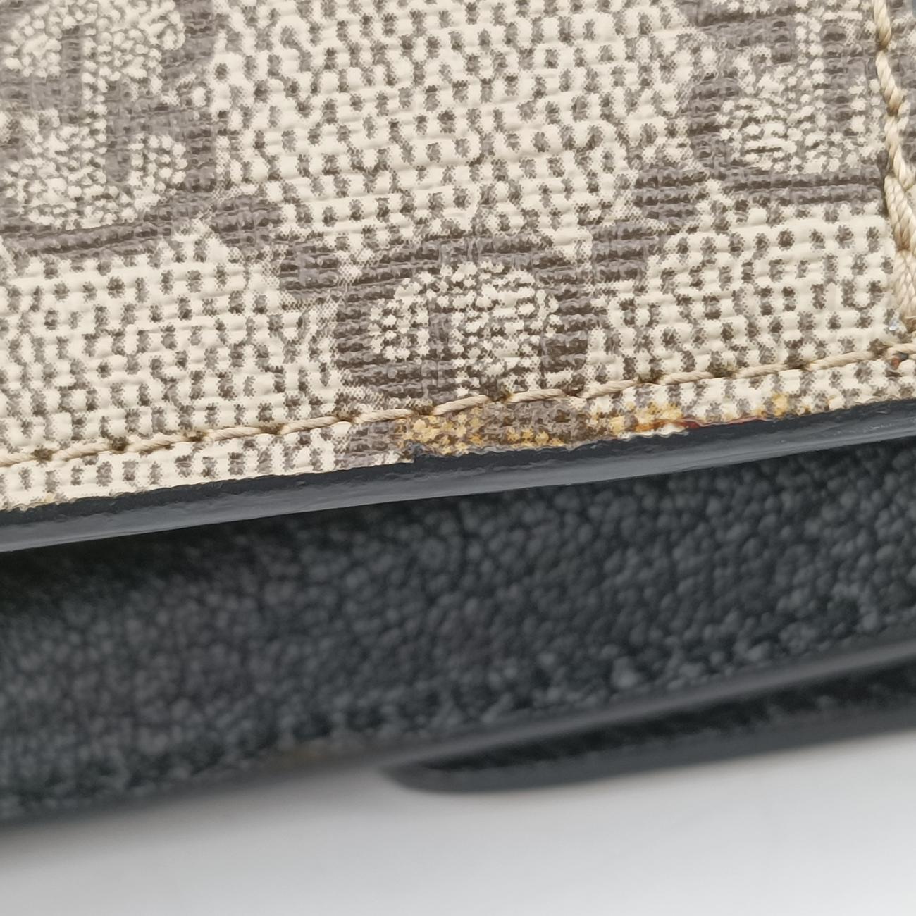 GG Supreme Fox Beige×Multicolour PVC coated canvas×Leather 466432 A023046003GG スプリームフォックス ベージュ×マルチカラー PVCコーティングキャンバス×レザー 466432 A023046003