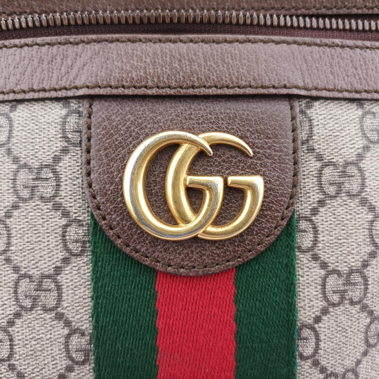 Ophidia Brown x Red x Green PVC coated canvas 547934 C028533800オフィディア ブラウン×レッド×グリーン PVCコーティングキャンバス 547934 C028533800