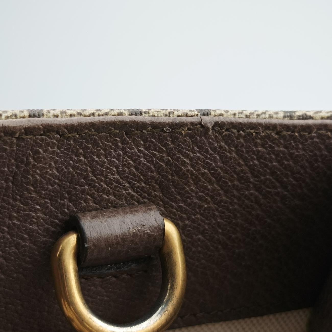 GG Supreme Sherry Line Brown×Multicolour PVC coated canvas 493610 H021891115GGスプリーム シェリーライン ブラウン×マルチカラー PVCコーティングキャンバス 493610 H021891115