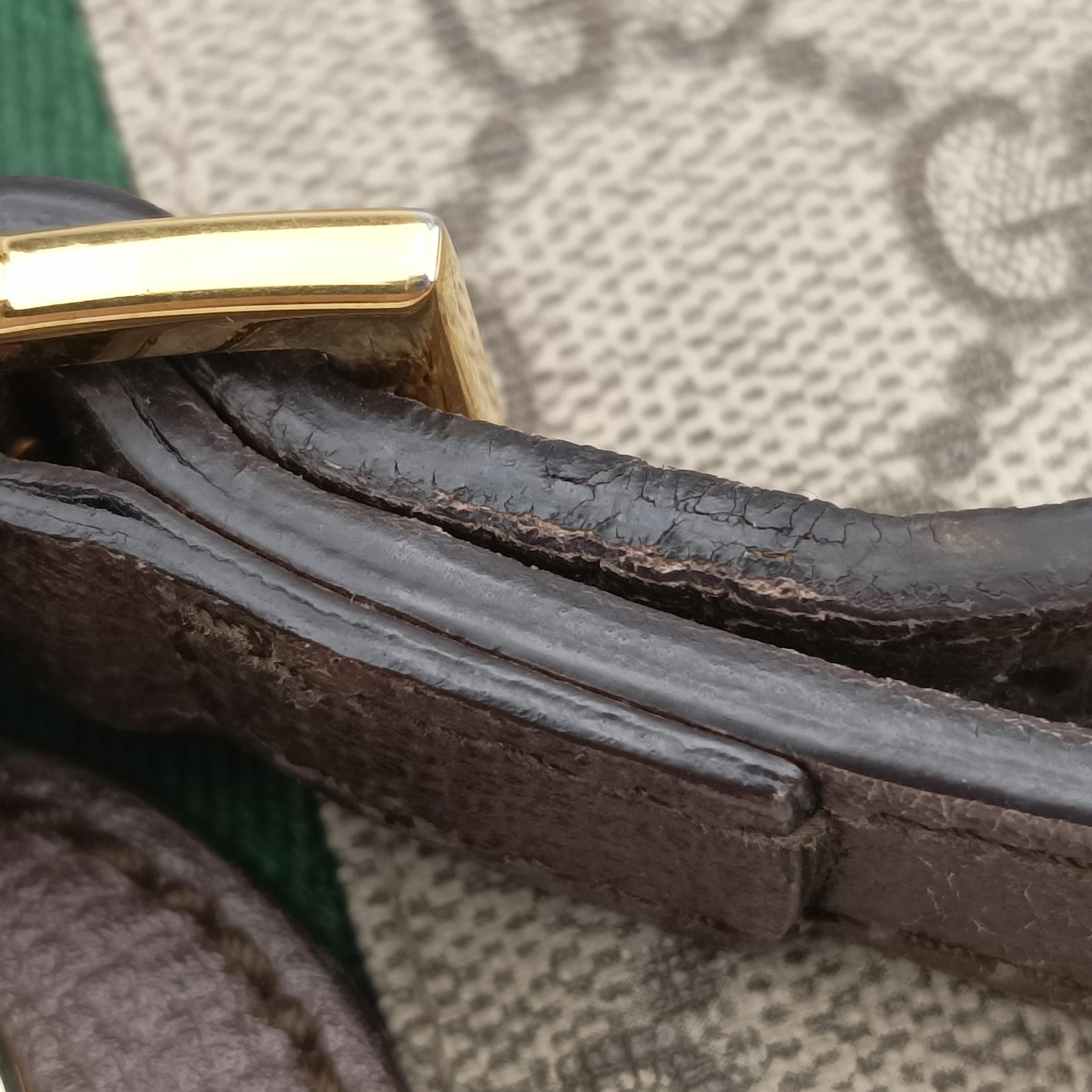 Ophidia Brown x Red x Green PVC coated canvas 499621 D024587661オフィディア ブラウン×レッド×グリーン PVCコーティングキャンバス 499621 D024587661