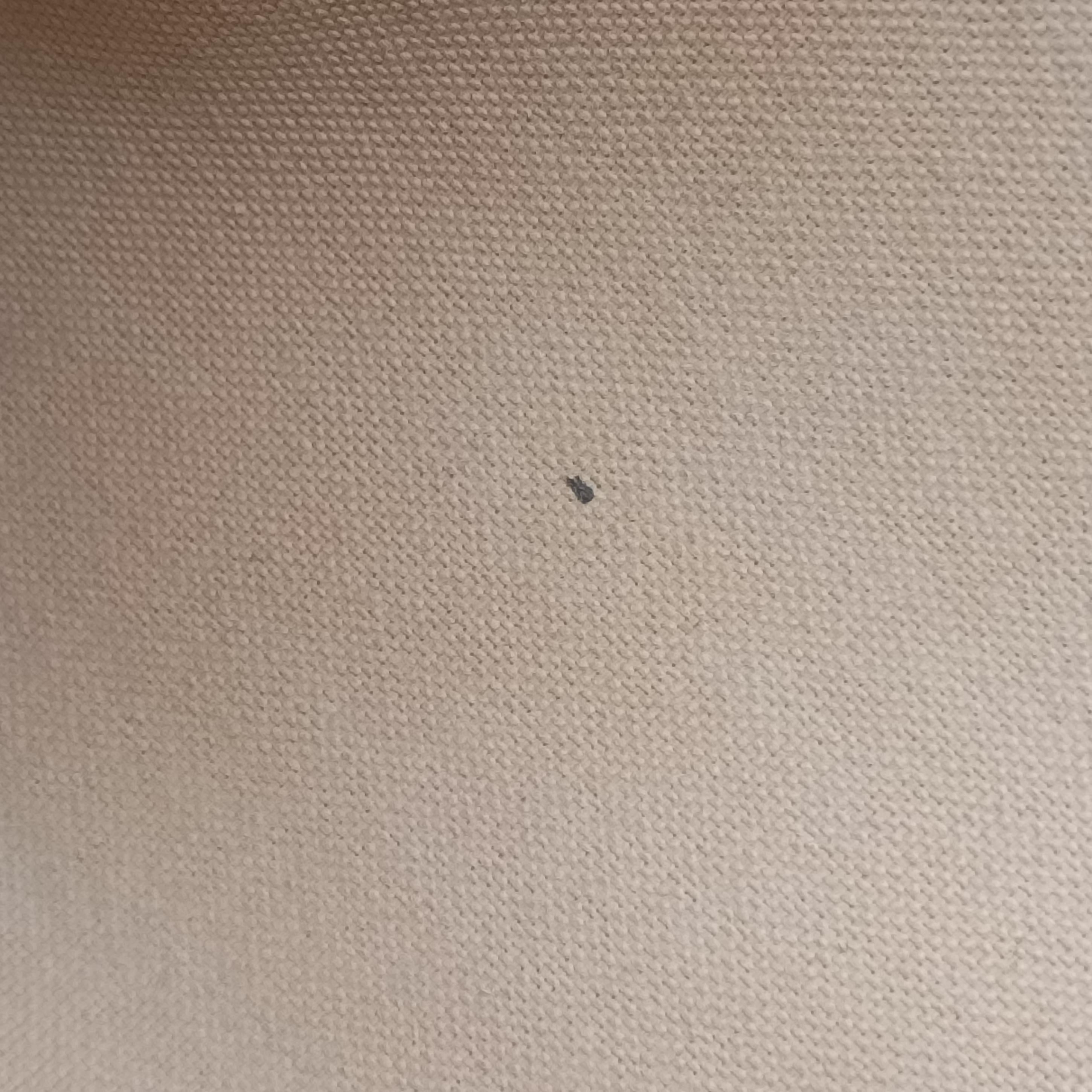 EVA AZUR Damier Canvas N55214 DU4140エヴァ アズール ダミエキャンバス N55214 DU4140