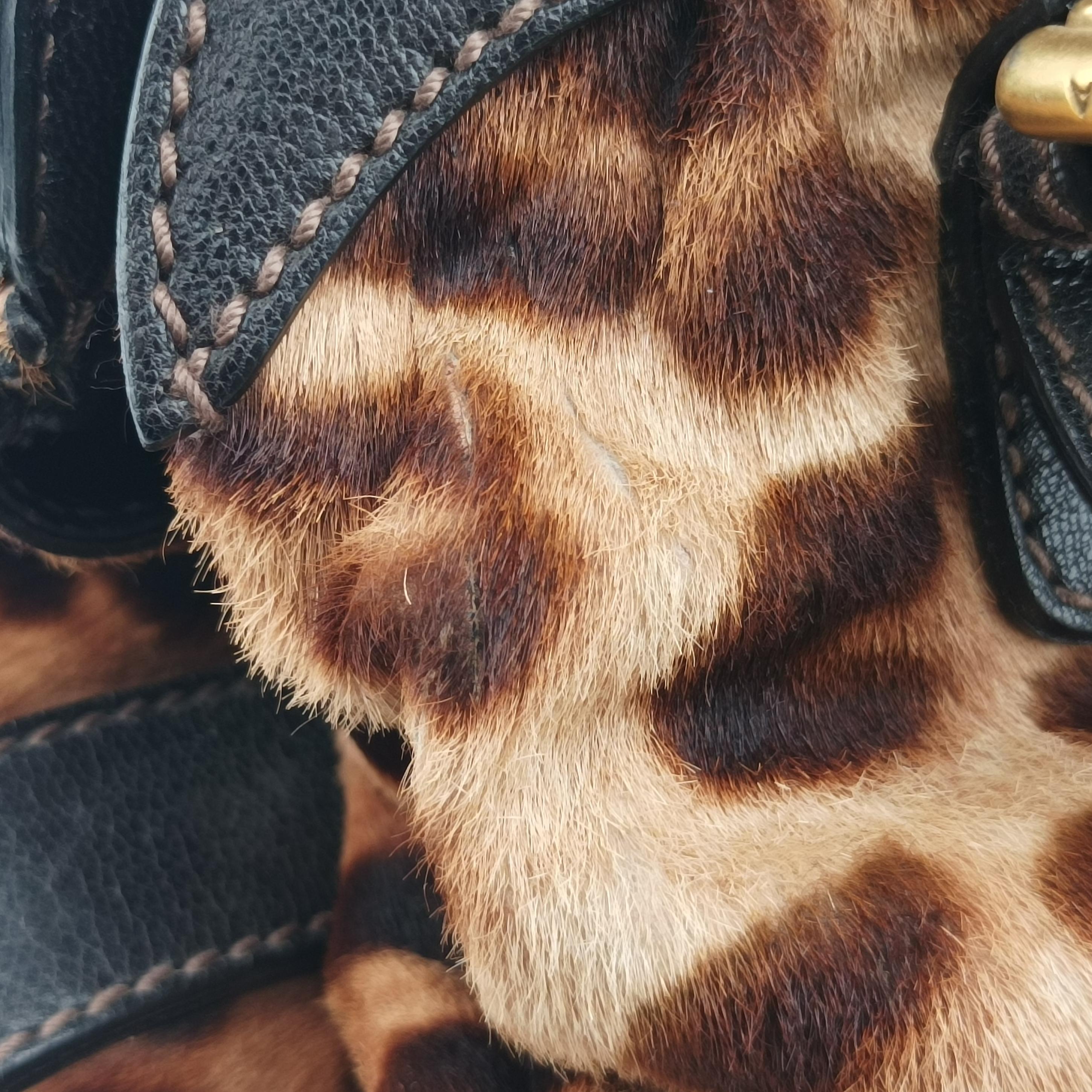 Leopard print Multicolour ponyhair レオパード プリント マルチカラー ハラコ