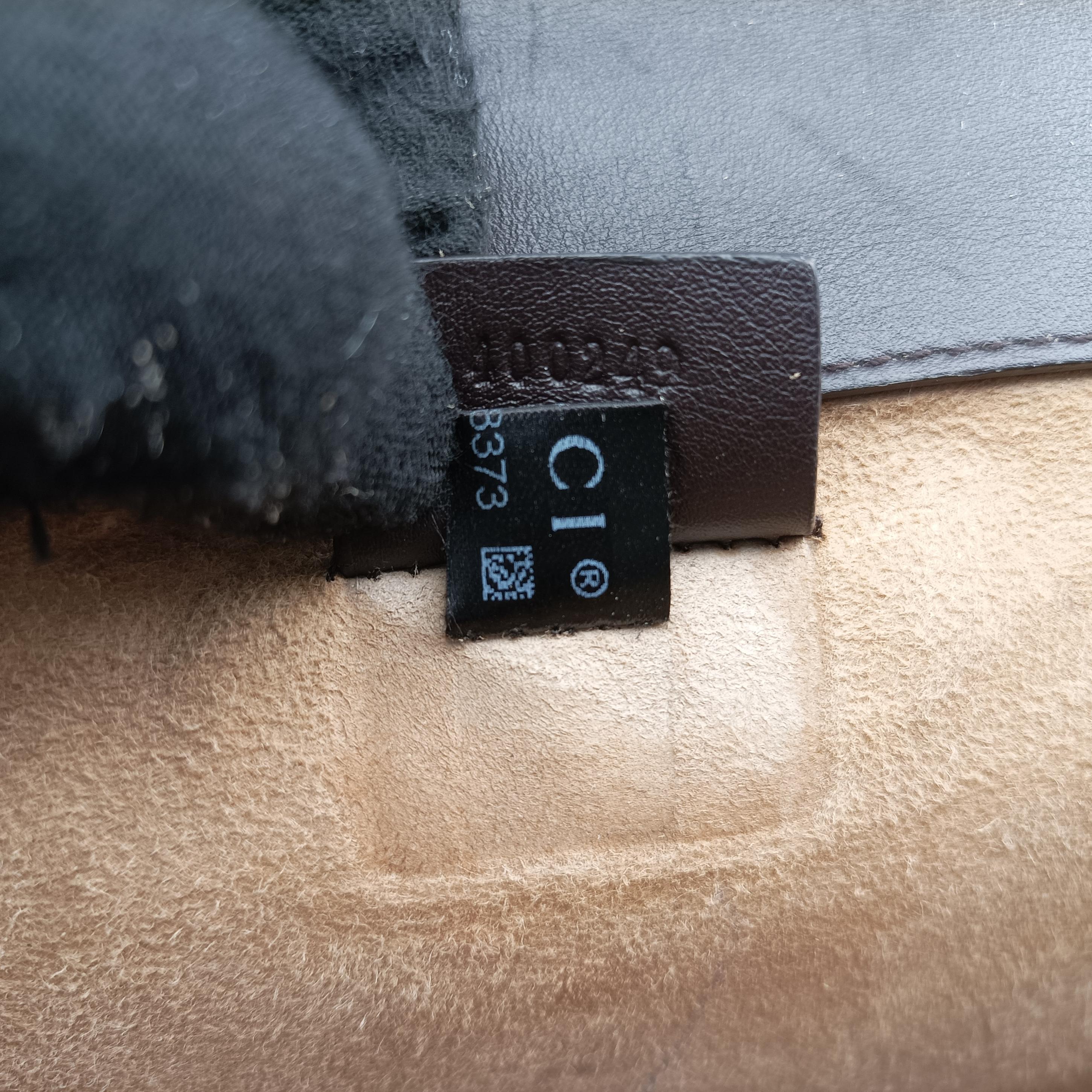 Dionysus Brown×Multicolor PVC coated canvas 400249 A020563373ディオニュソス ブラウン×マルチカラー PVCコーティングキャンバス 400249 A020563373