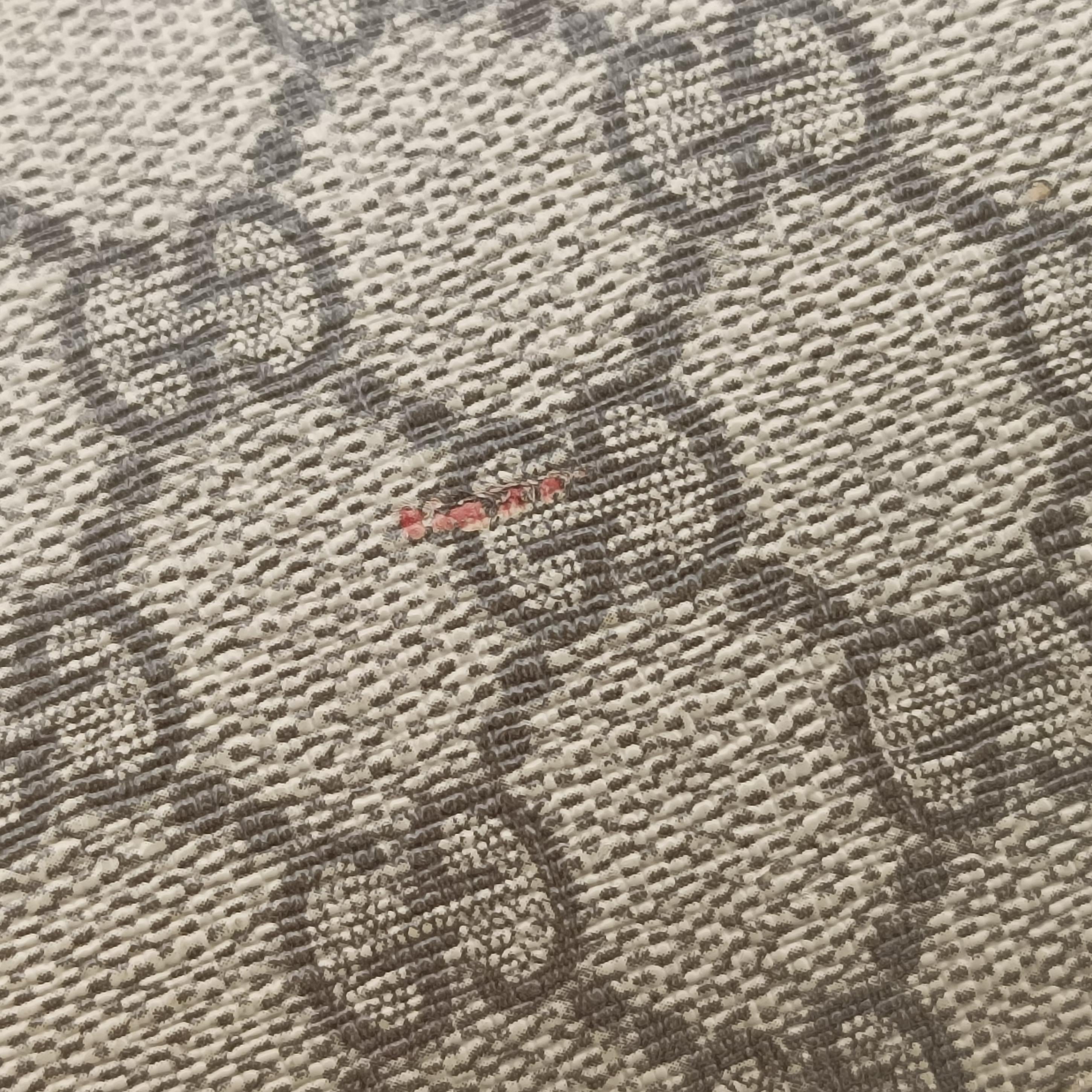 Dionysus Brown×Multicolor PVC coated canvas 400249 A020563373ディオニュソス ブラウン×マルチカラー PVCコーティングキャンバス 400249 A020563373