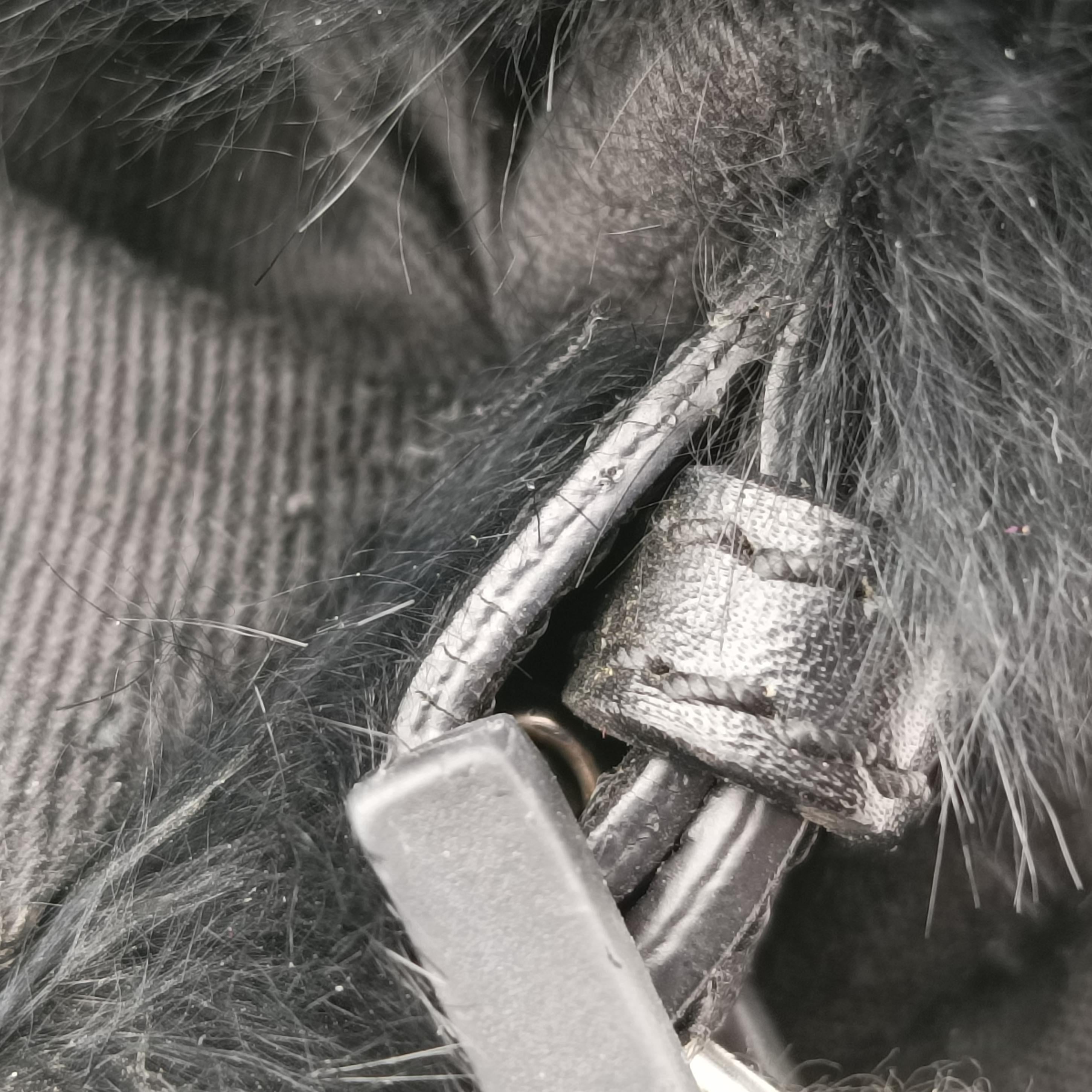 Baguette Zucchino Black ponyhair 8BR001 2241-8BR001-WCX-078マンマバケット ズッキーノ柄 ブラック ハラコ 8BR001 2241-8BR001-WCX-078