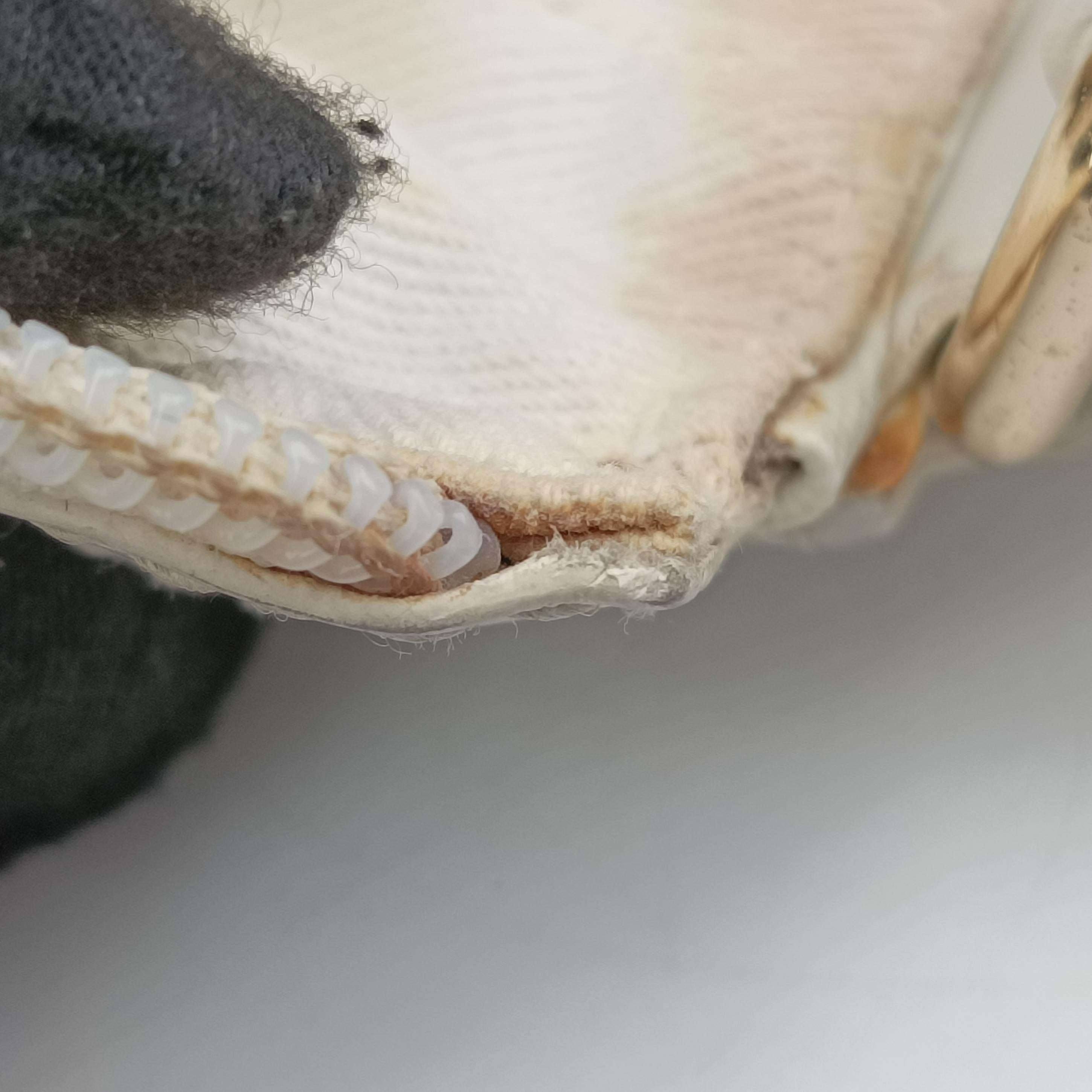 GG Supreme GG Plus Small Web Hobo White PVC coated canvas 263757 B9225801GGスプリーム GGプラス ウェブ ホーボー ホワイト PVCコーティングキャンバス 263757 B9225801