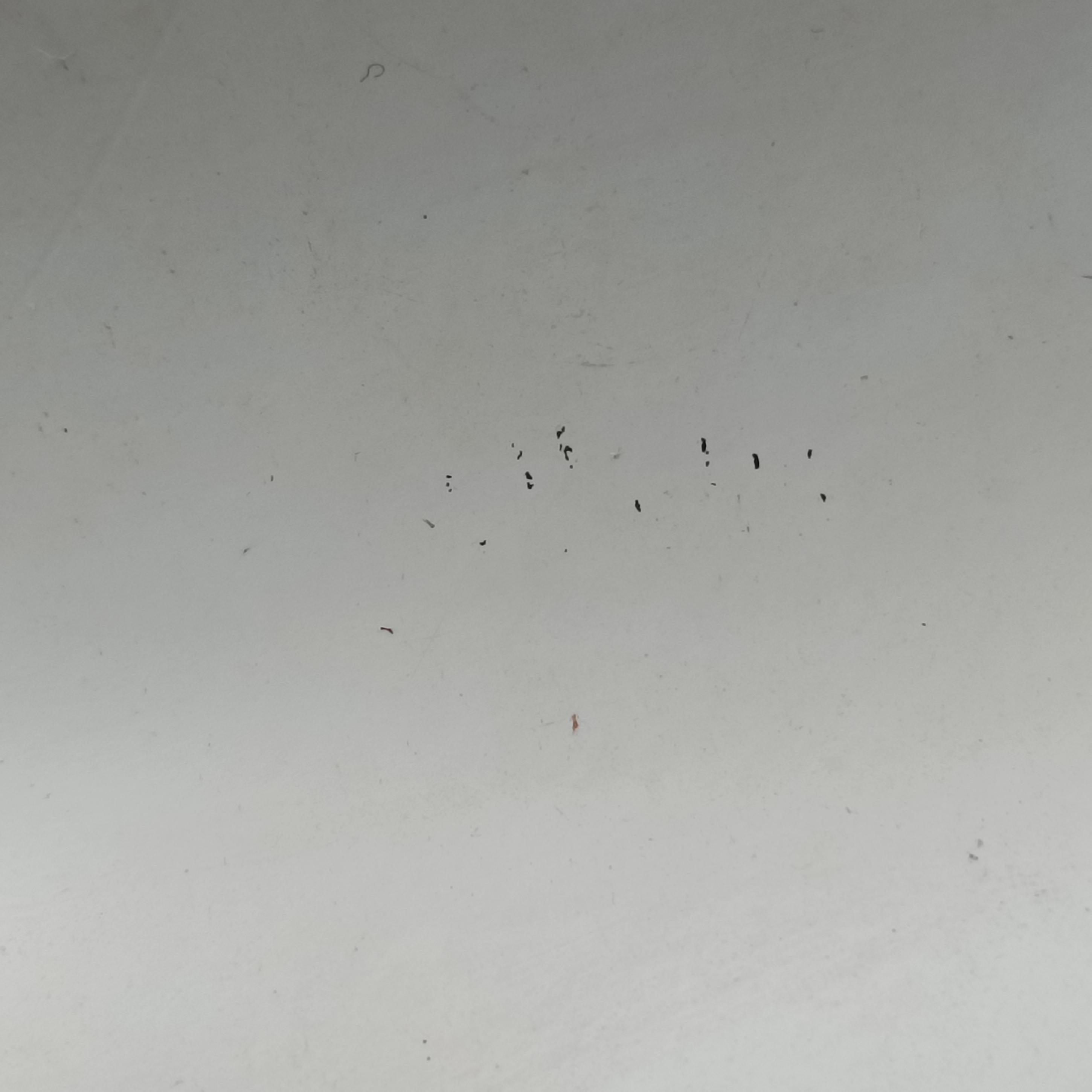 Jetsetter Boy Shopping Tote White Patent A67020 16196747ジェットセッター ボーイ ショッピング トート ホワイト パテント A67020 16196747