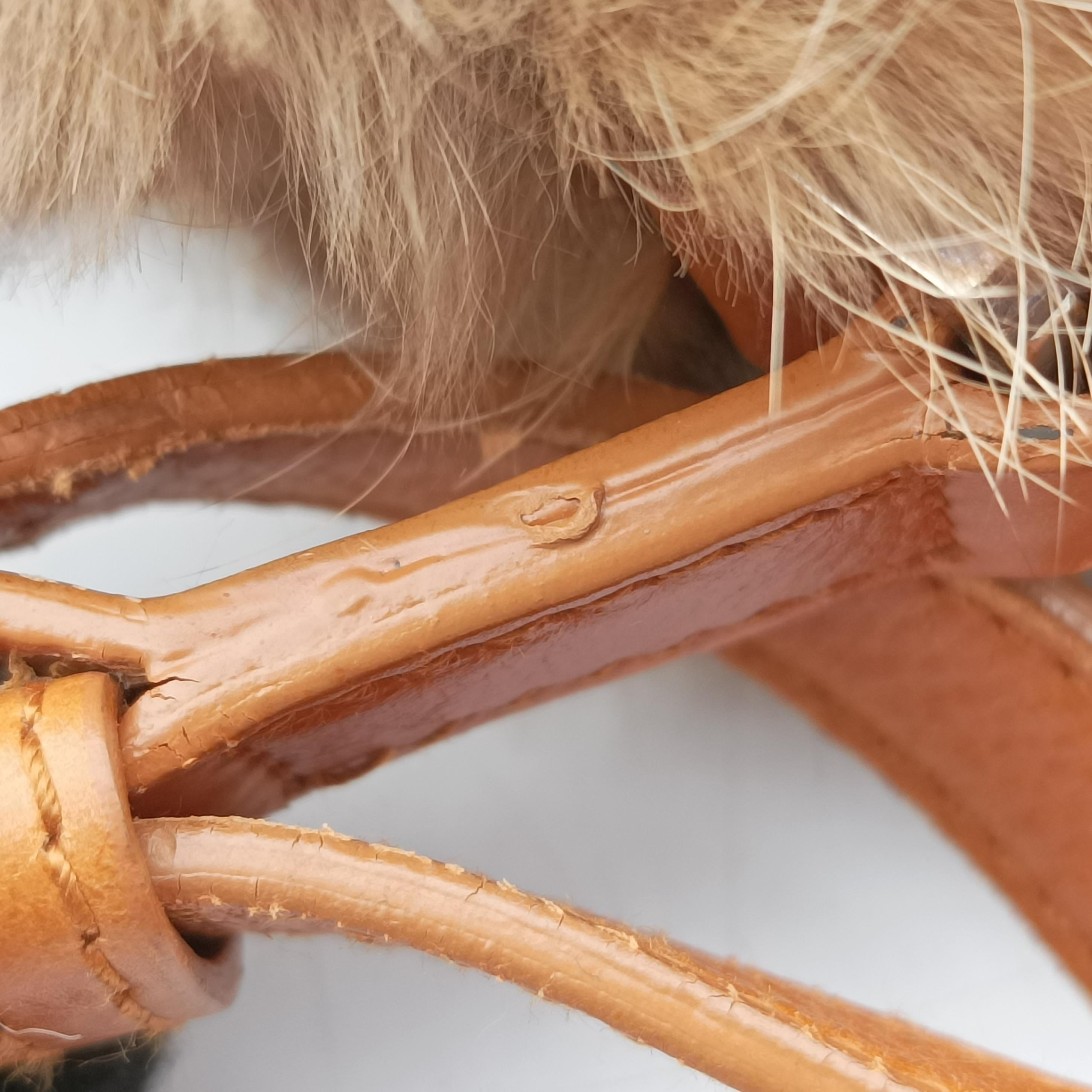 D logo Brown fur×leather 15-MA-0065Dロゴ ブラウン ファー×レザー 15-MA-0065