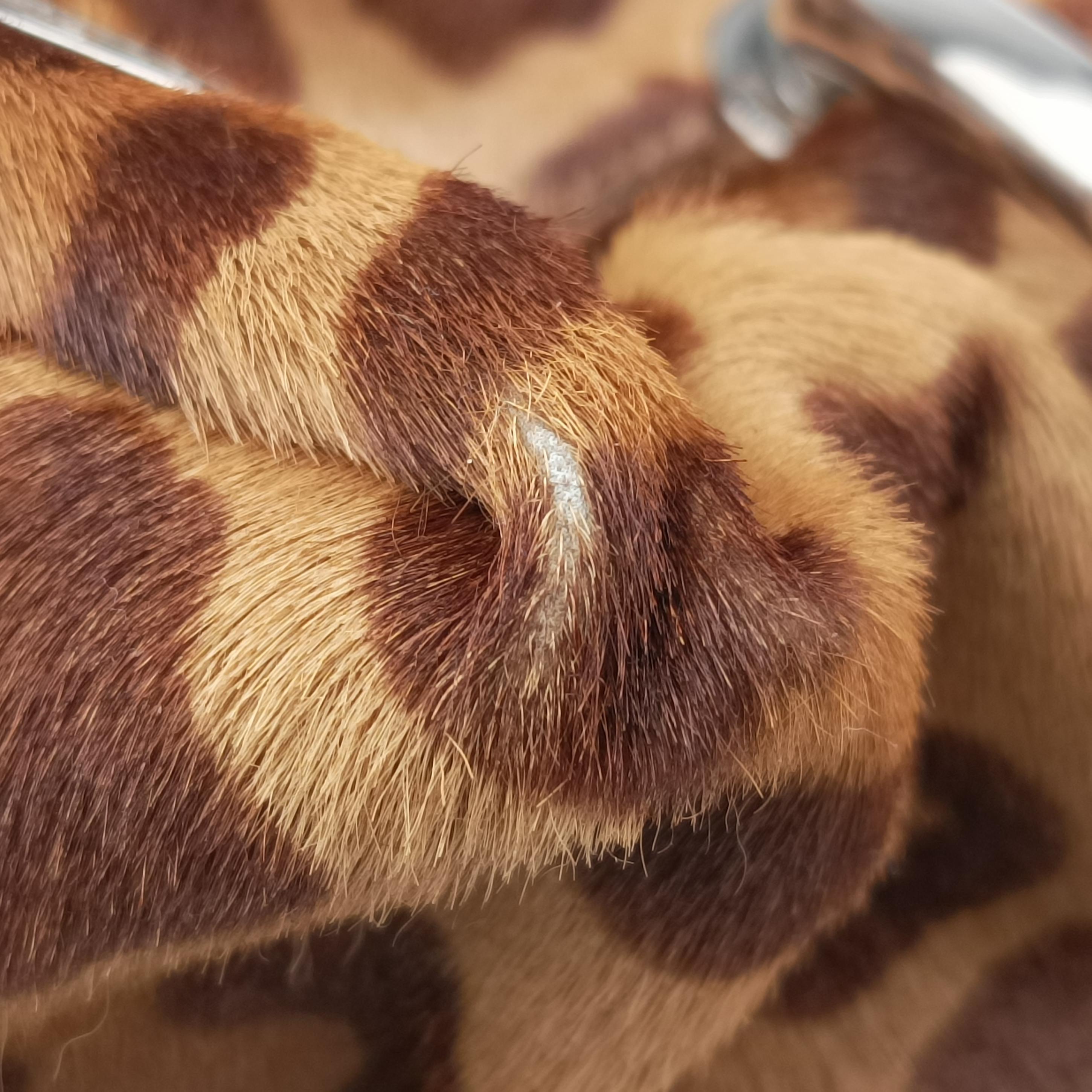 Cheetah Micro Multicolour ponyhair 58チーターマイクロ マルチカラー ハラコ 58