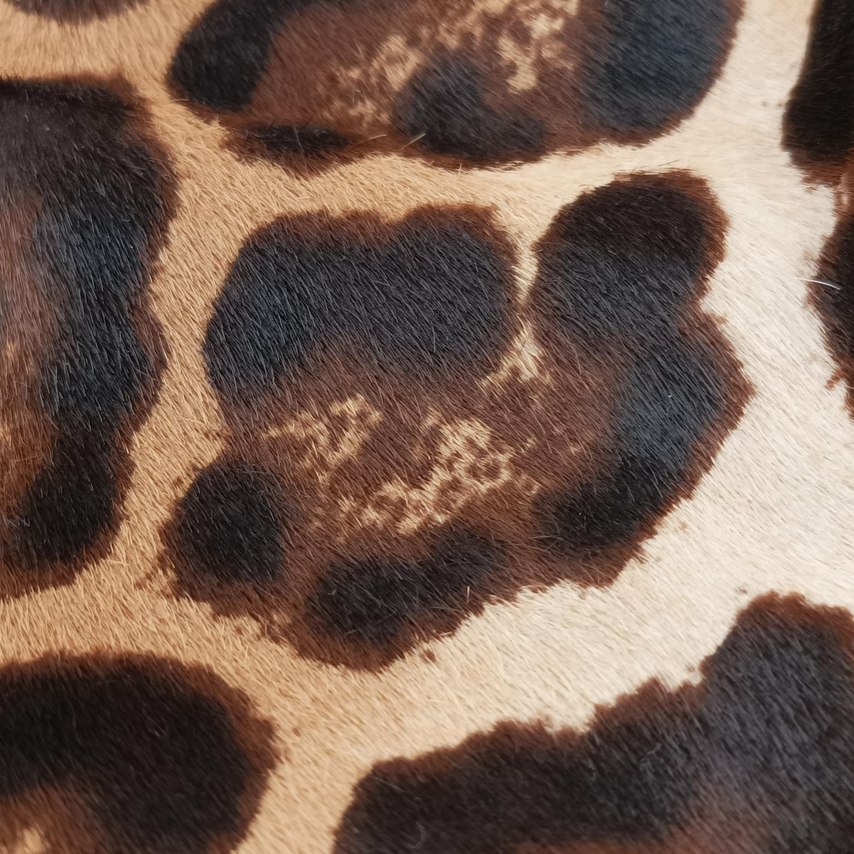 leopard print Multicolour ponyhair レオパードプリント マルチカラー ハラコ