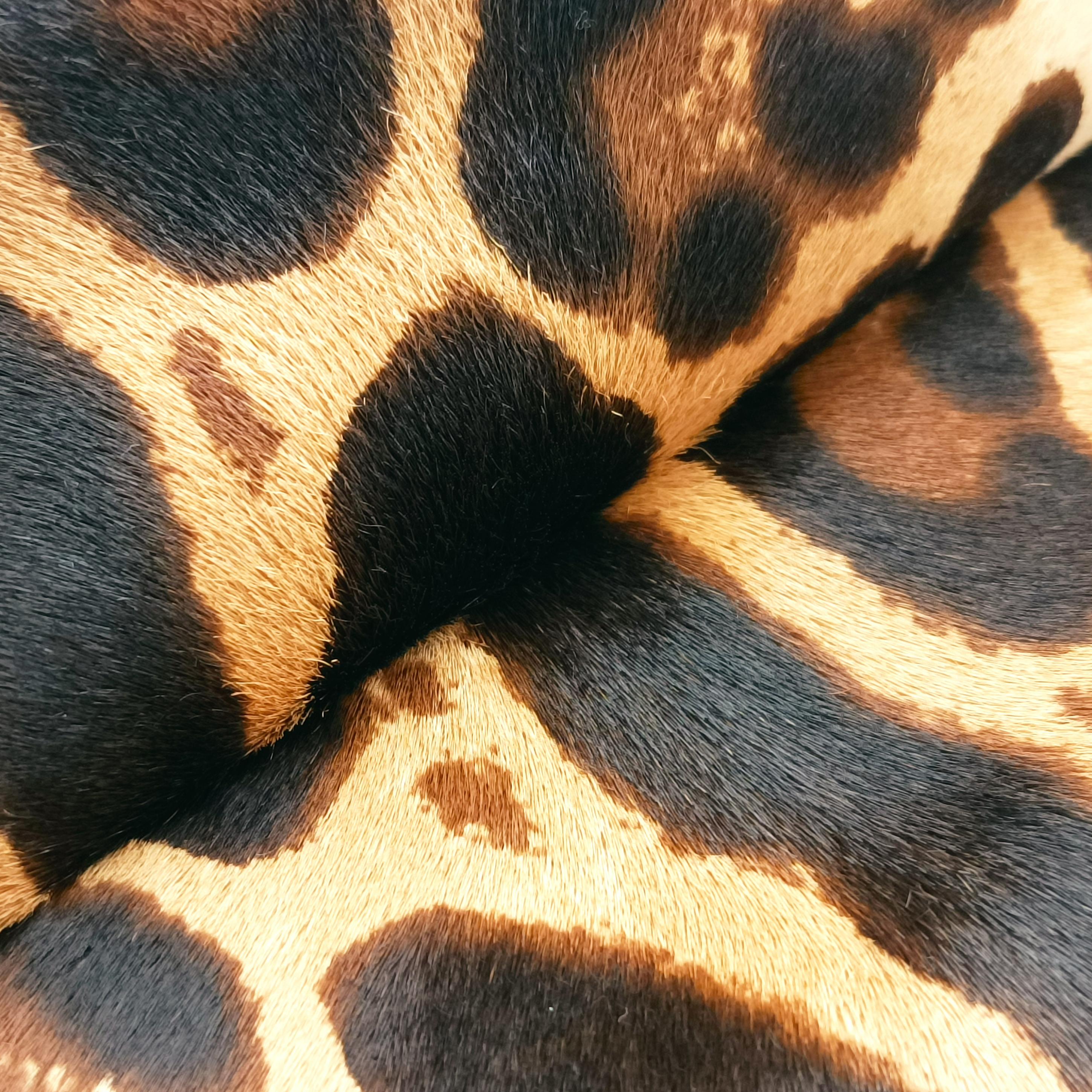 leopard print Multicolour ponyhair レオパードプリント マルチカラー ハラコ