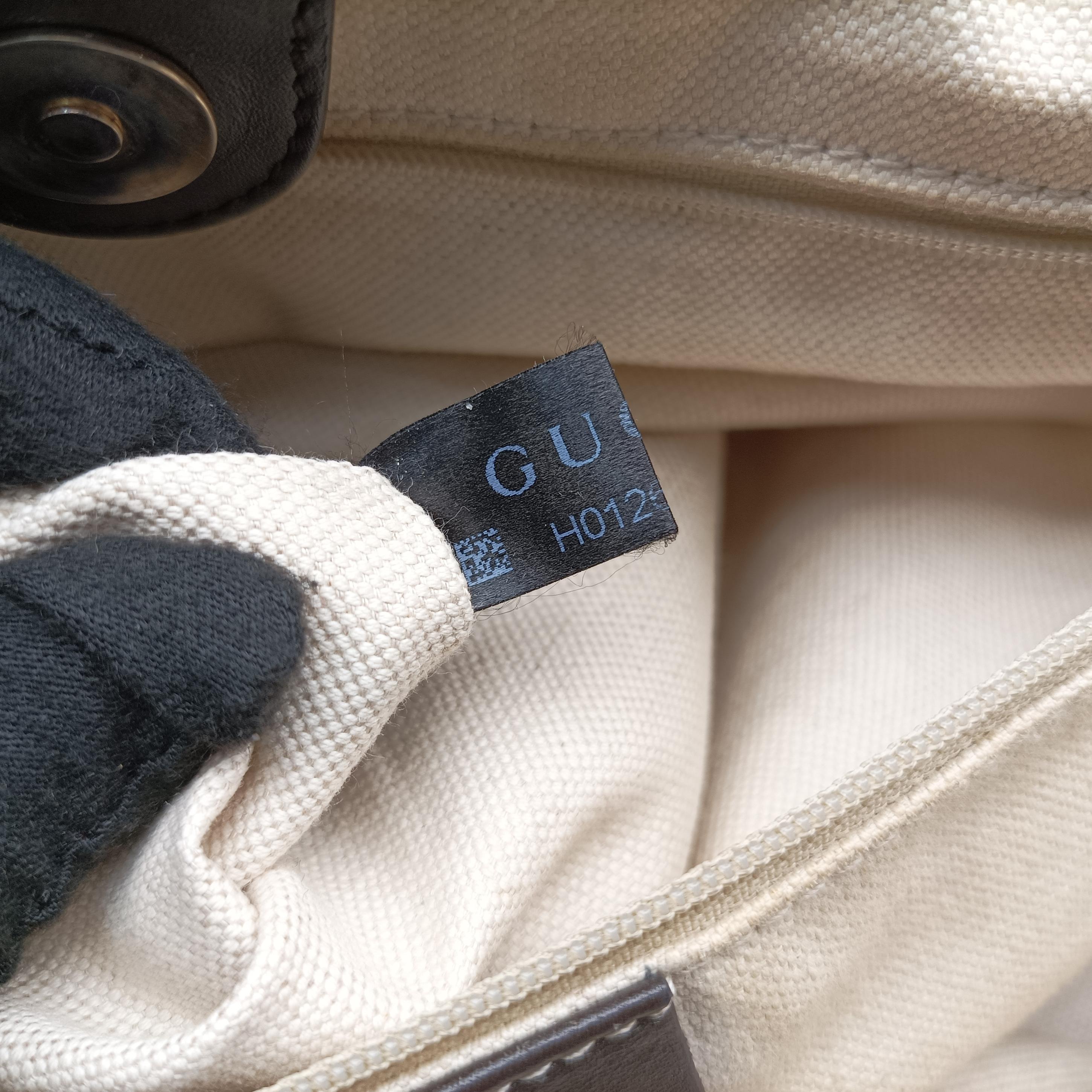 Sukey Brown canvas×leather 211943 H012668308スーキー ブラウン キャンバス×レザー 211943 H012668308