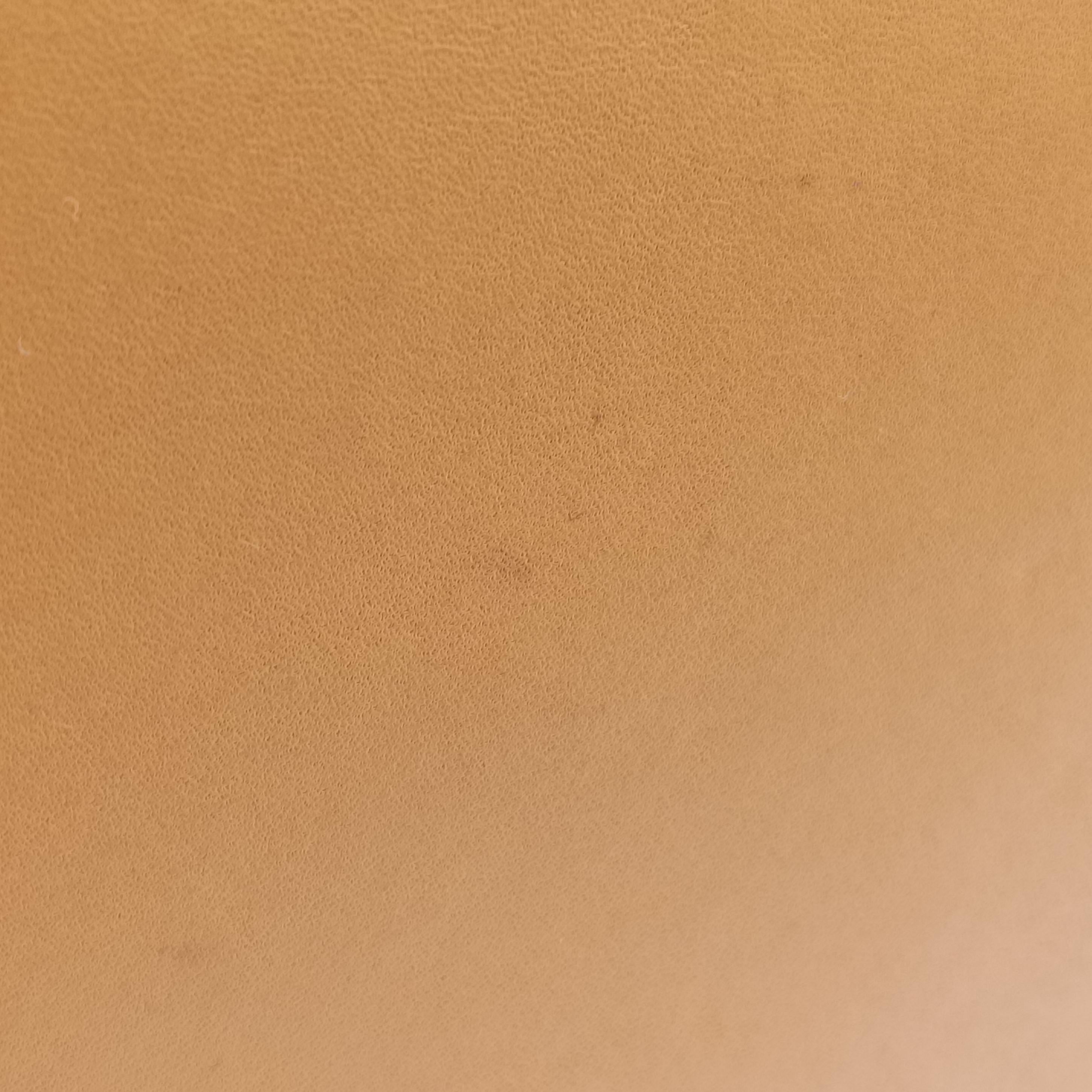 Luggage Mini Shopper Yellow×black Leather F-AT-0143 F-CU-0153ラゲージミニショッパー イエロー×ブラック レザー F-AT-0143 F-CU-0153