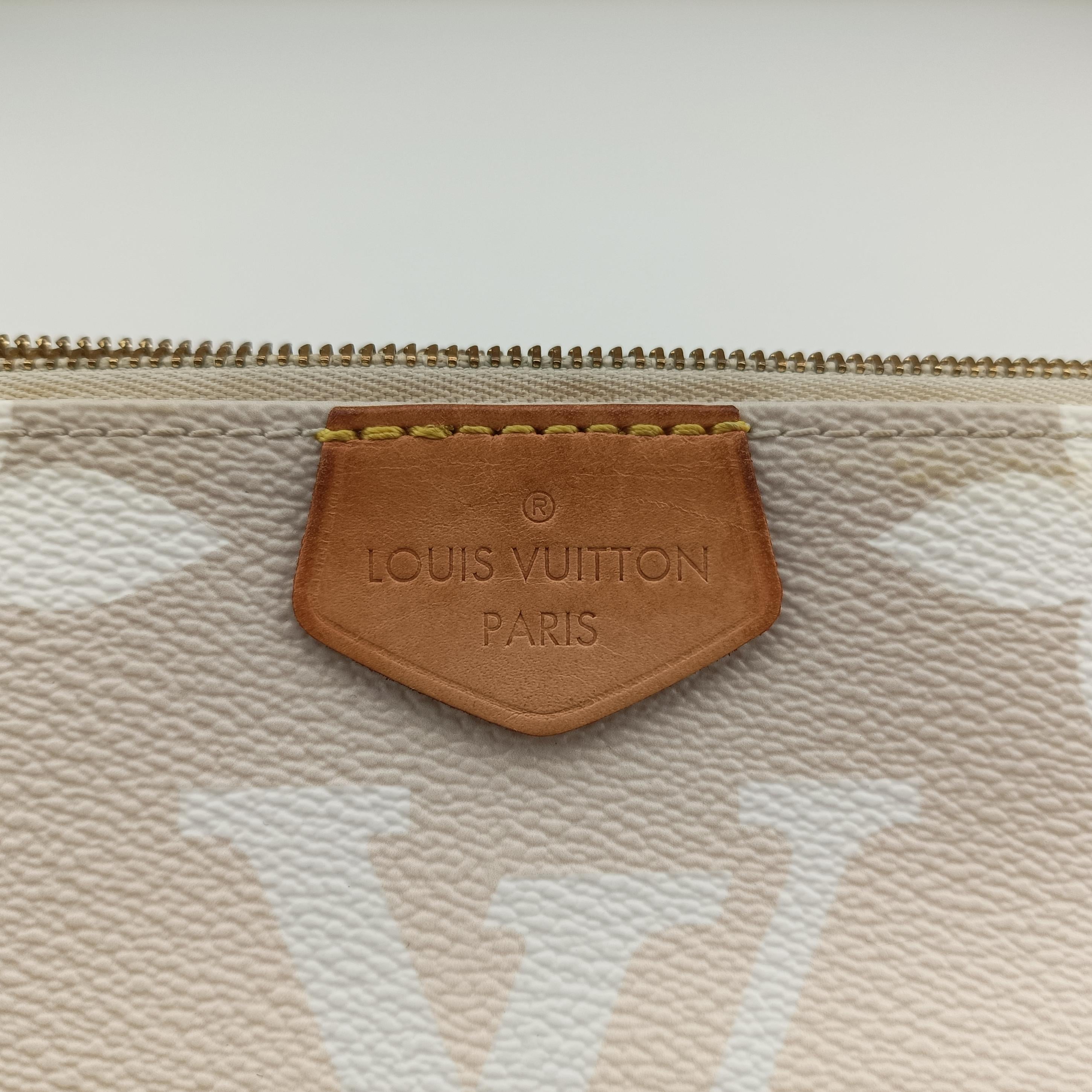 MULTI POCHETTE ACCESSOIRES Brume Monogram Giant M57634 IC Chipミュルティ ポシェット アクセソワール ブリューム モノグラム ジャイアント M57634 ICチップ