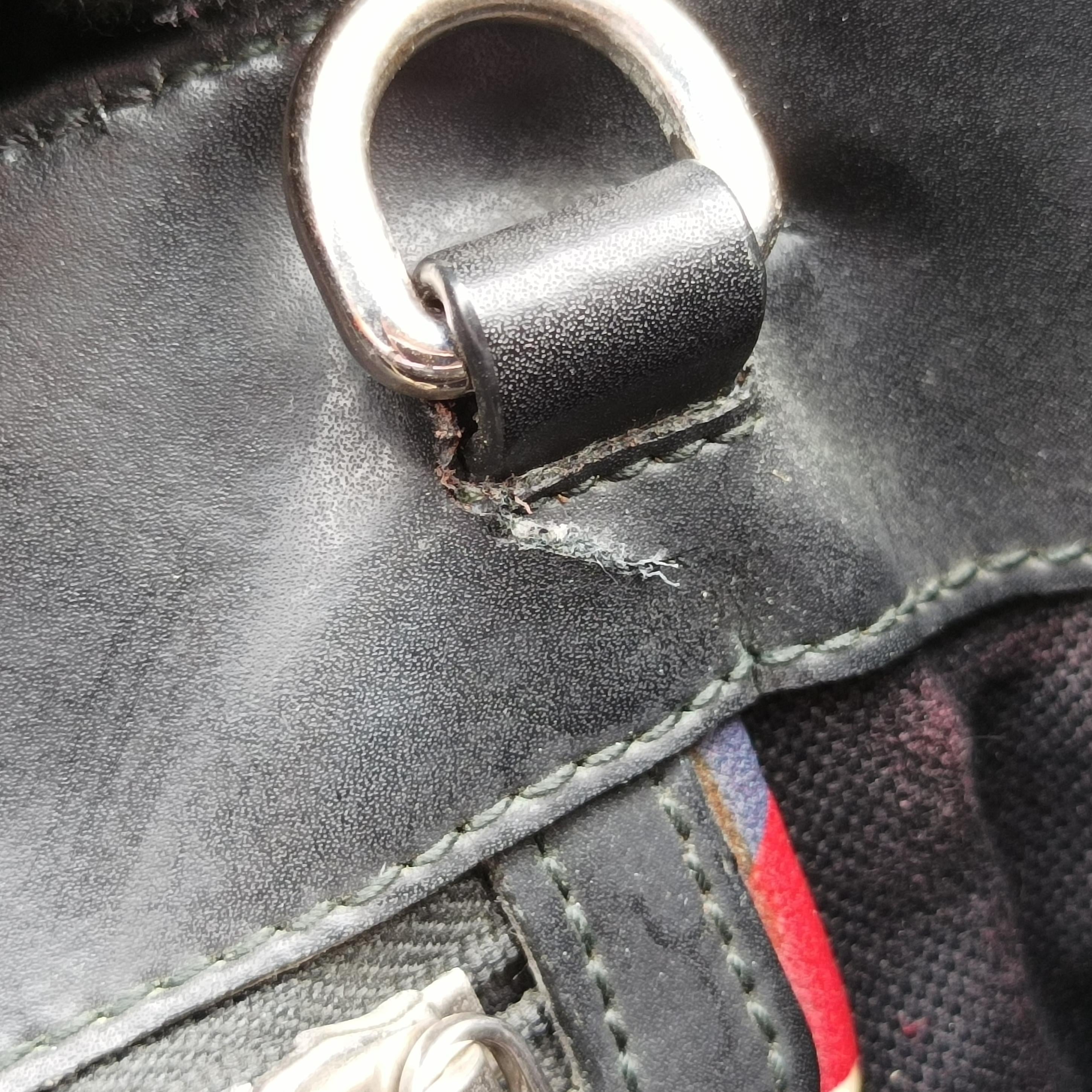 GG Supreme Tiger black×Multicolour PVC coated canvas 495559 G026480561GGスプリーム タイガー ブラック×マルチカラー PVCコーティングキャンバス 495559 G026480561