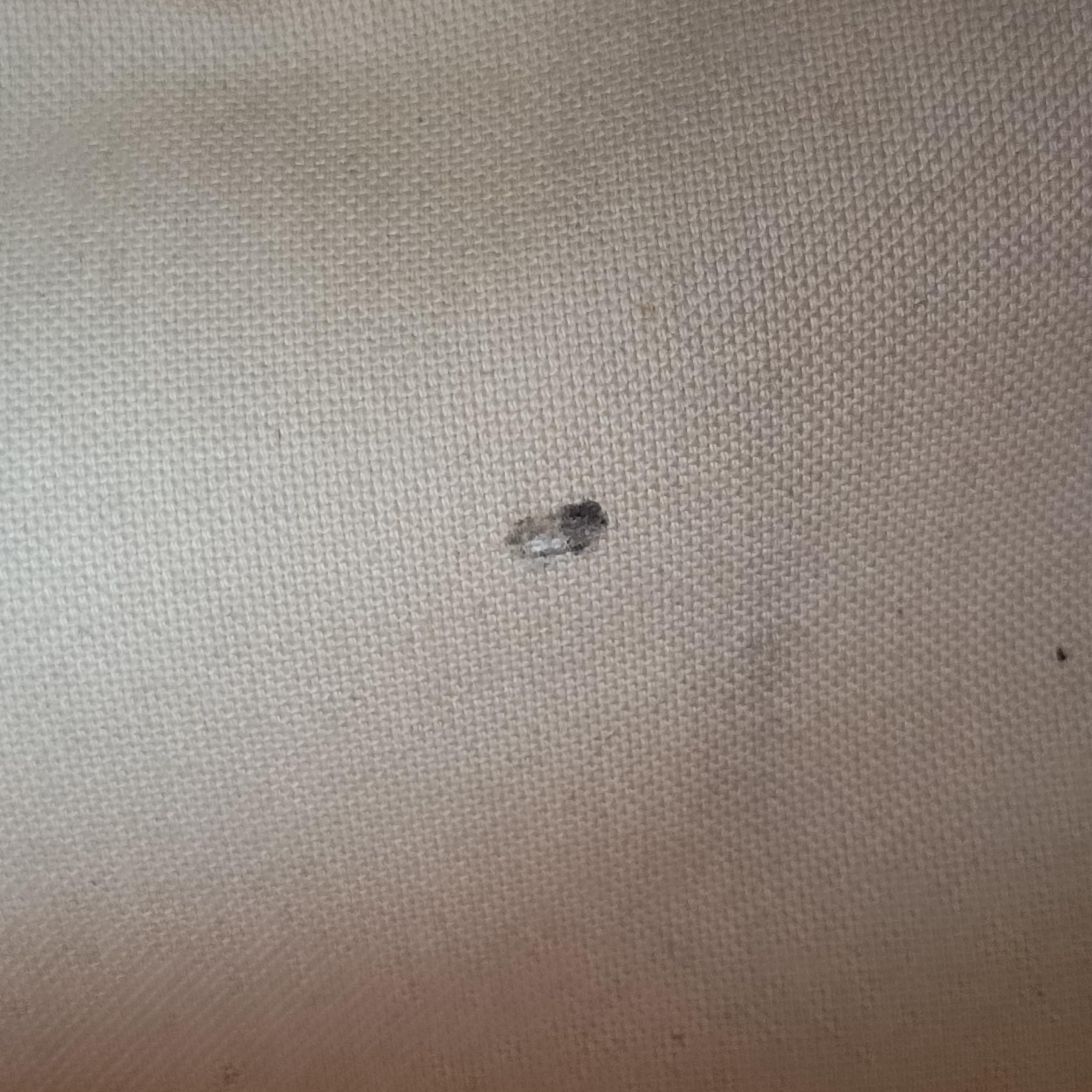 Speedy 30 AZUR Damier Canvas N41533 BA0153スピーディ30 アズール ダミエキャンバス N41533 BA0153